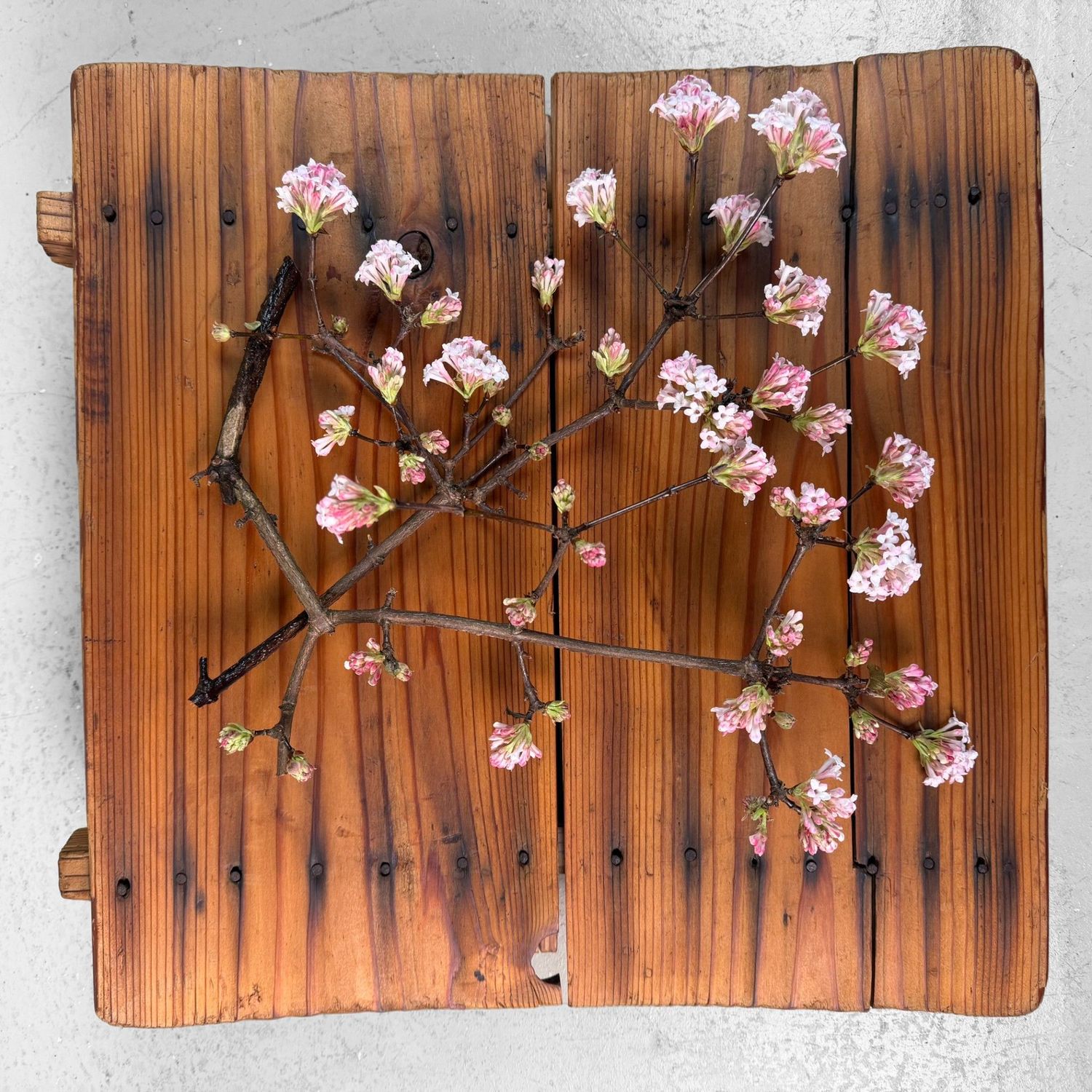 ​Lage Japans Houten Decoratie, Wabi-Sabi Displaystuk, 1930s