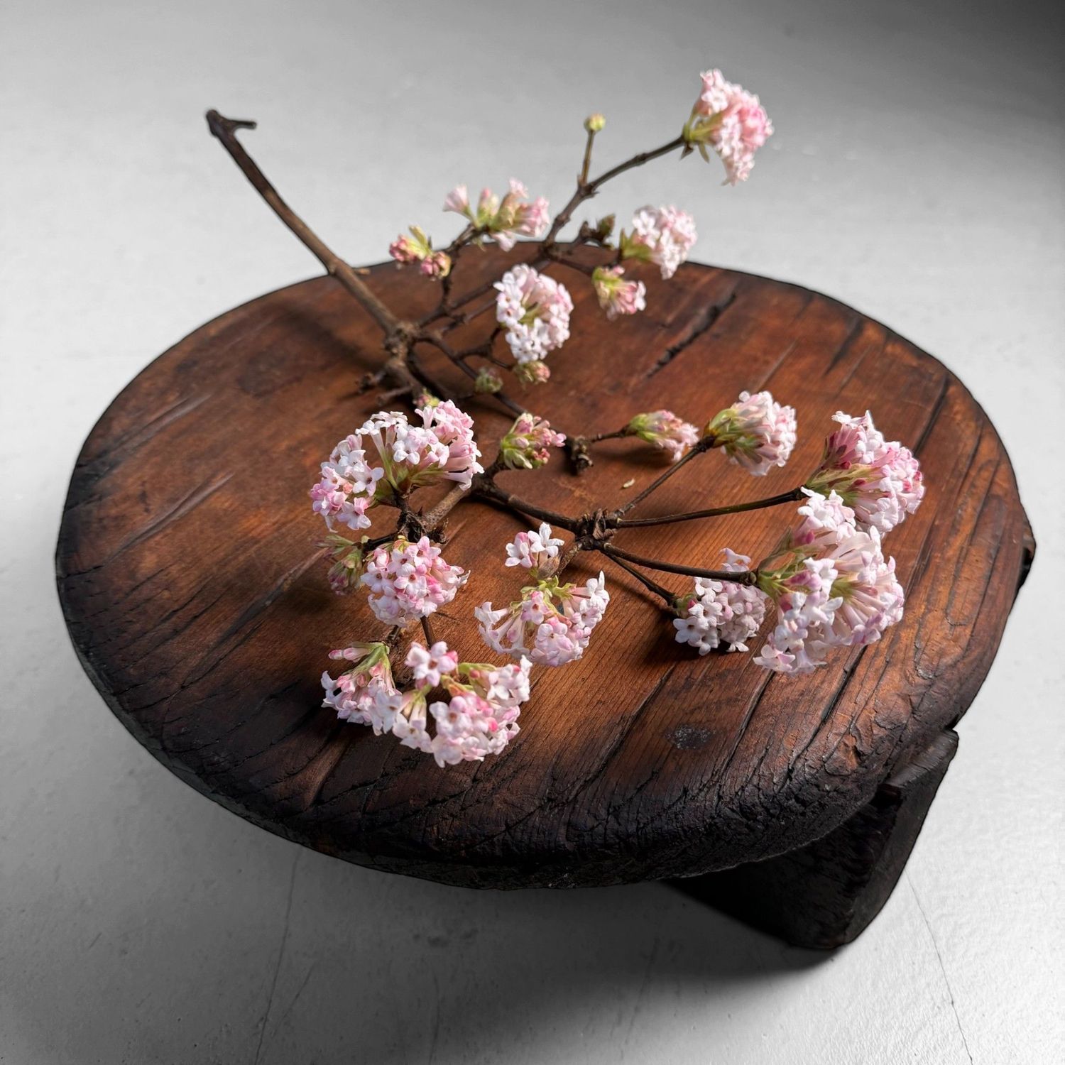 Japanese Wooden Oke Lid, Wabi-sabi Display Stand, 1910s