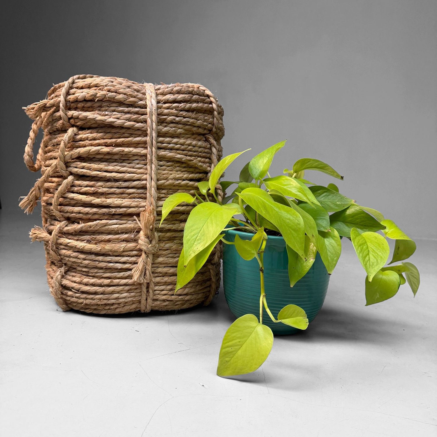 Large Japanese Coil of Natural Rope, 1950s