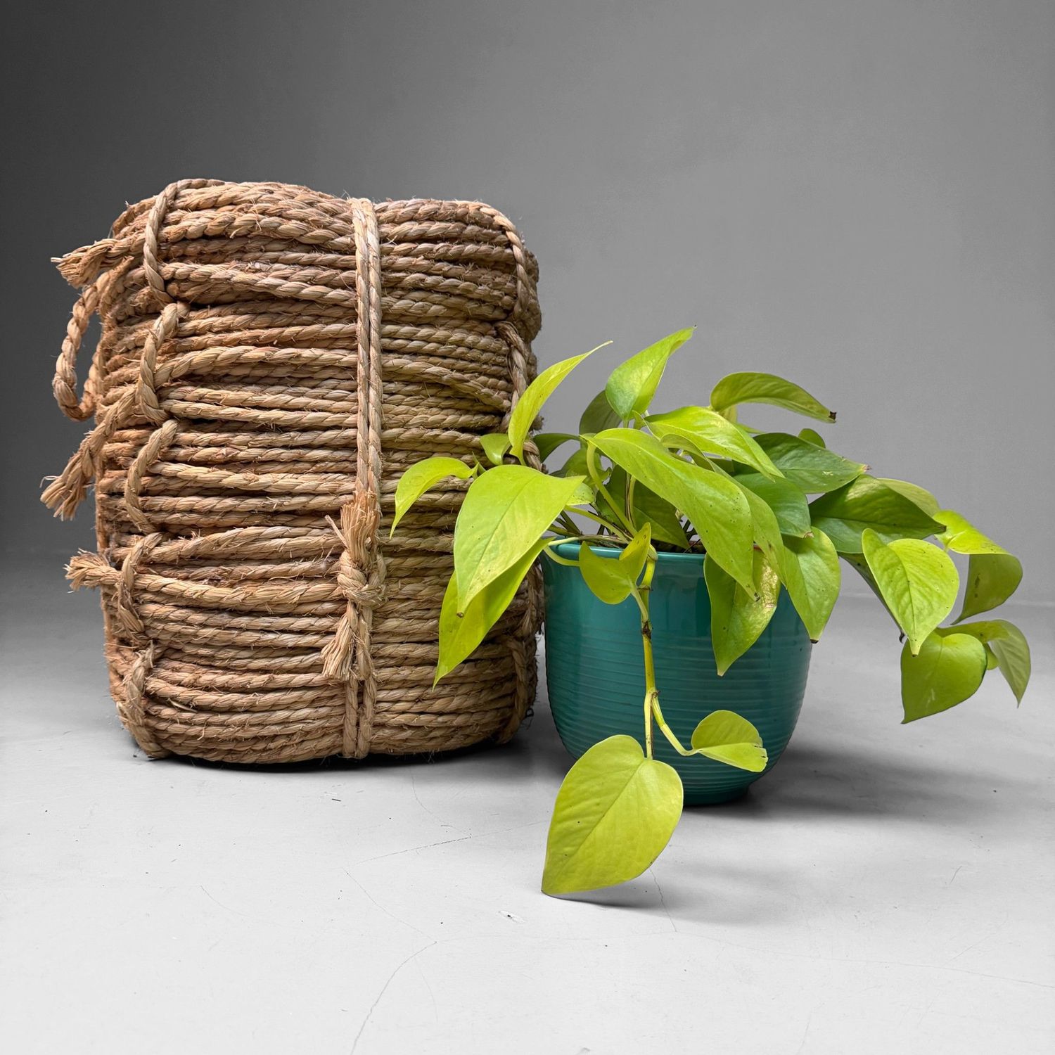Large Japanese Coil of Natural Rope, 1950s