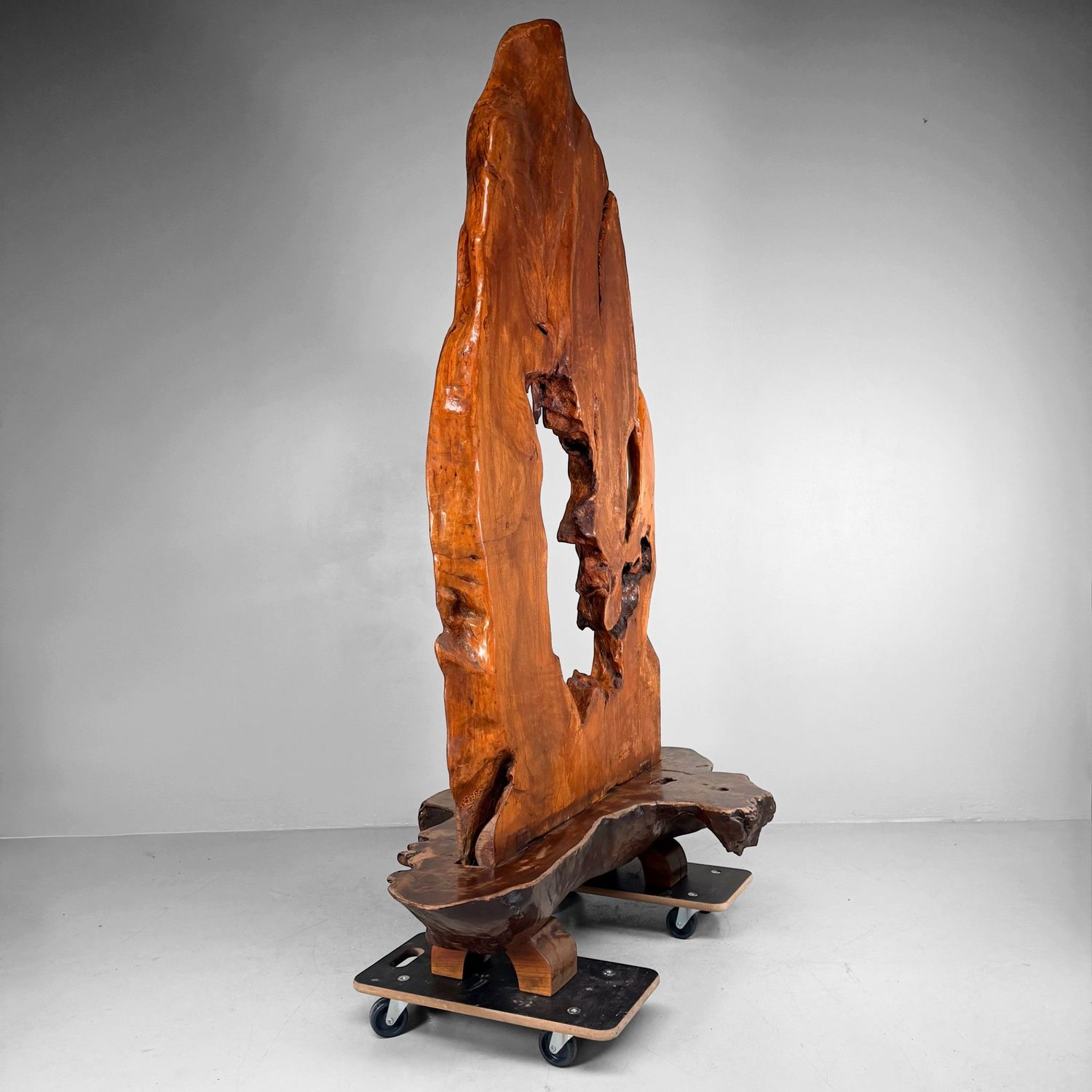 Monumental Japanese Root Wood Sculpture, Display Object, 1950s
