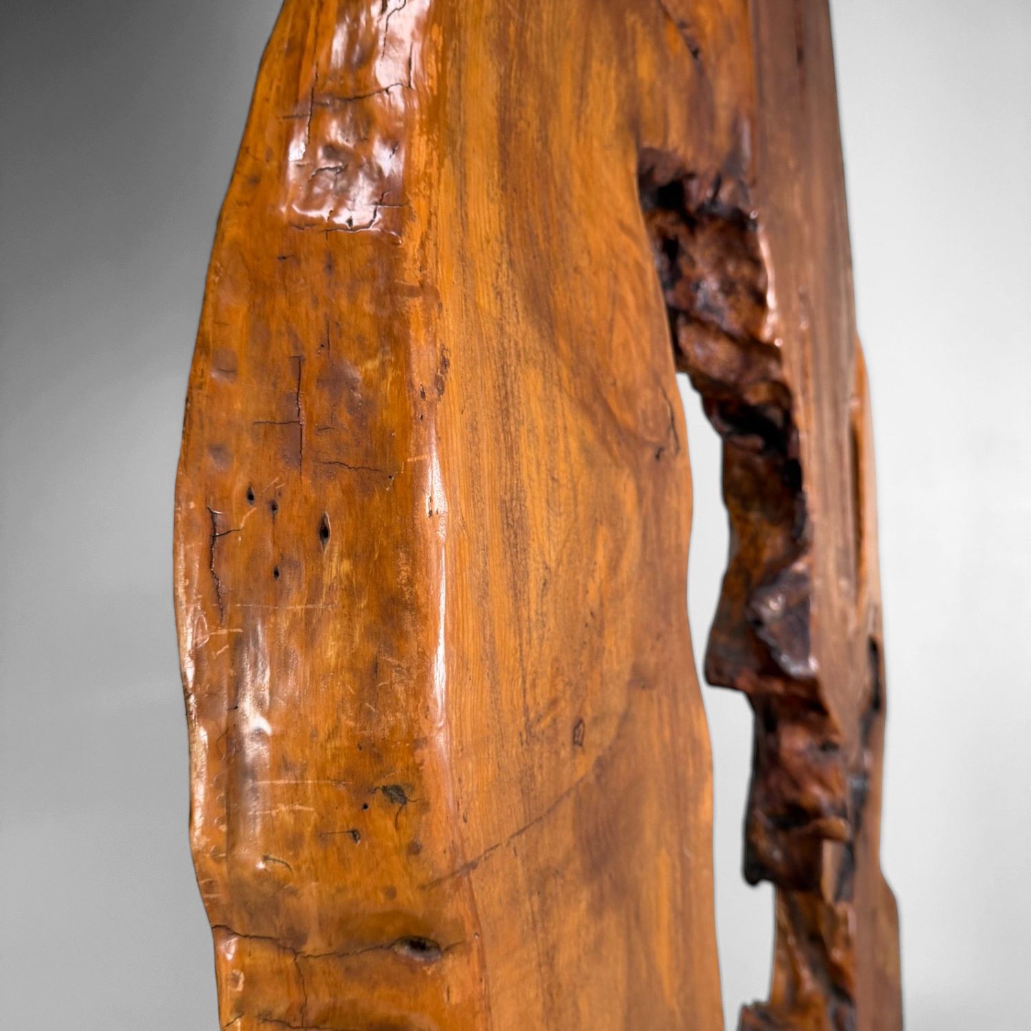 Monumental Japanese Root Wood Sculpture, Display Object, 1950s