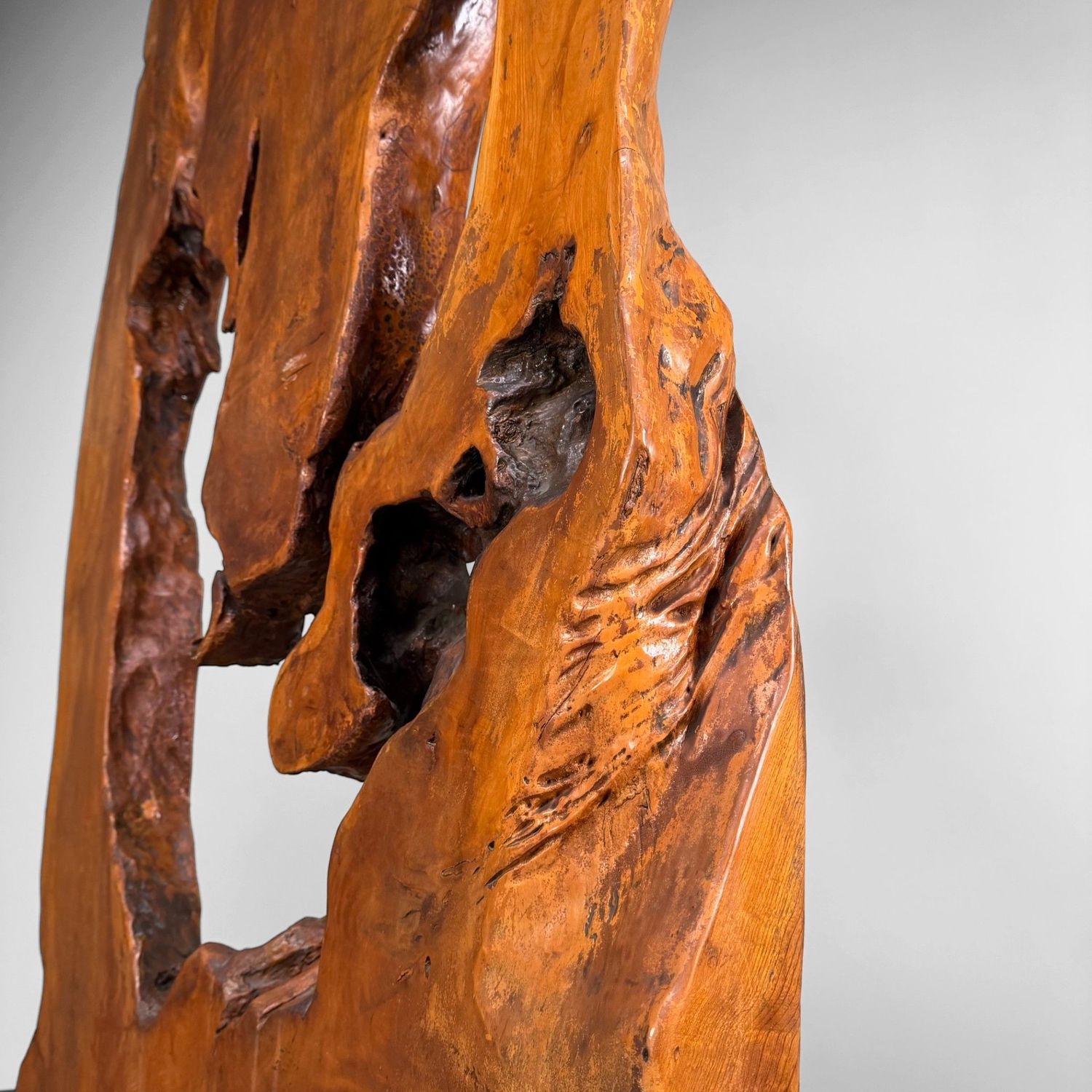 Monumental Japanese Root Wood Sculpture, Display Object, 1950s
