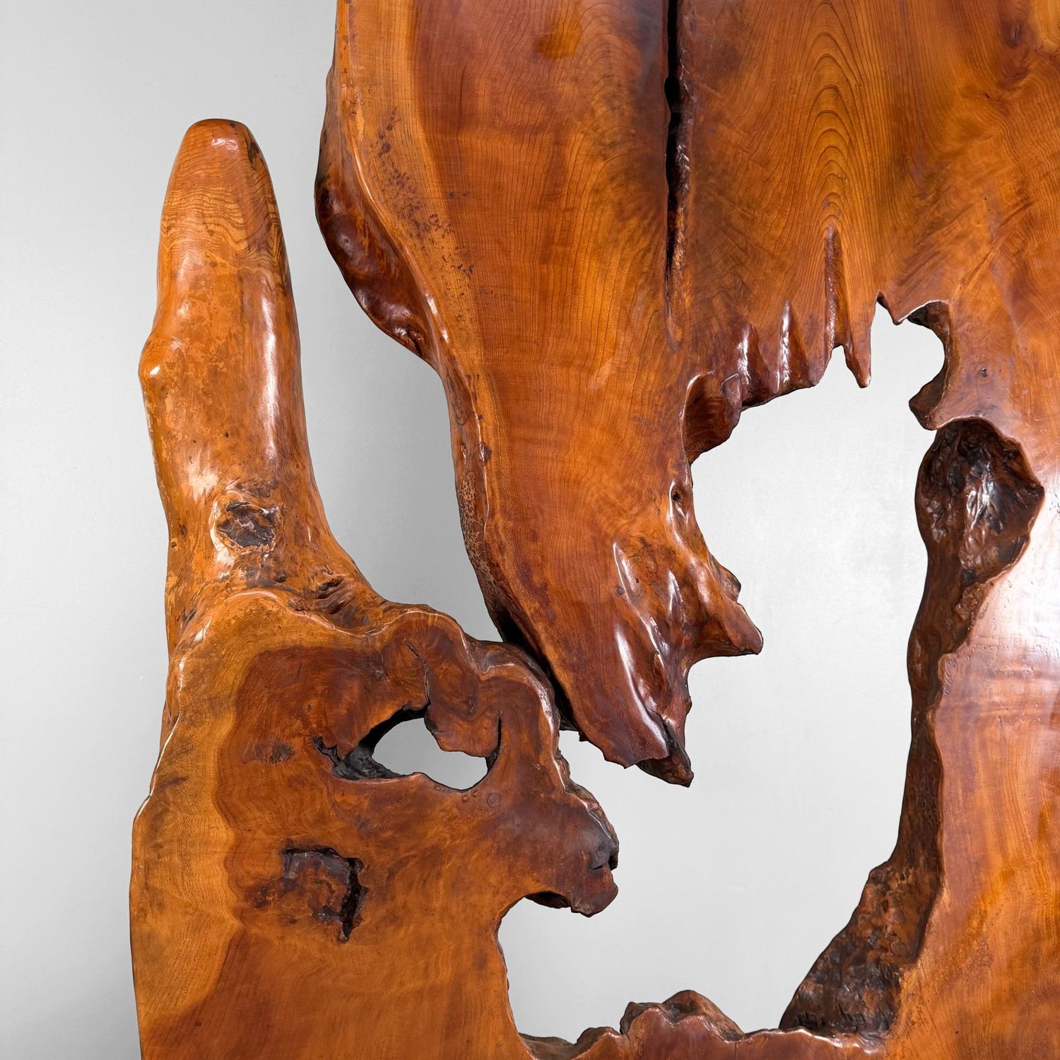 Monumental Japanese Root Wood Sculpture, Display Object, 1950s