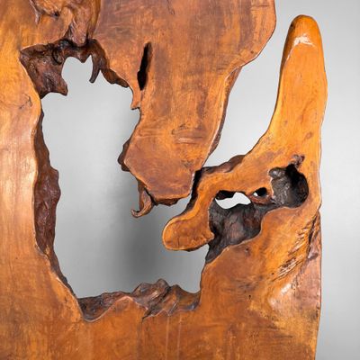 Monumentale Japanse Wortelhouten Sculptuur, Displayobject, jaren 50
