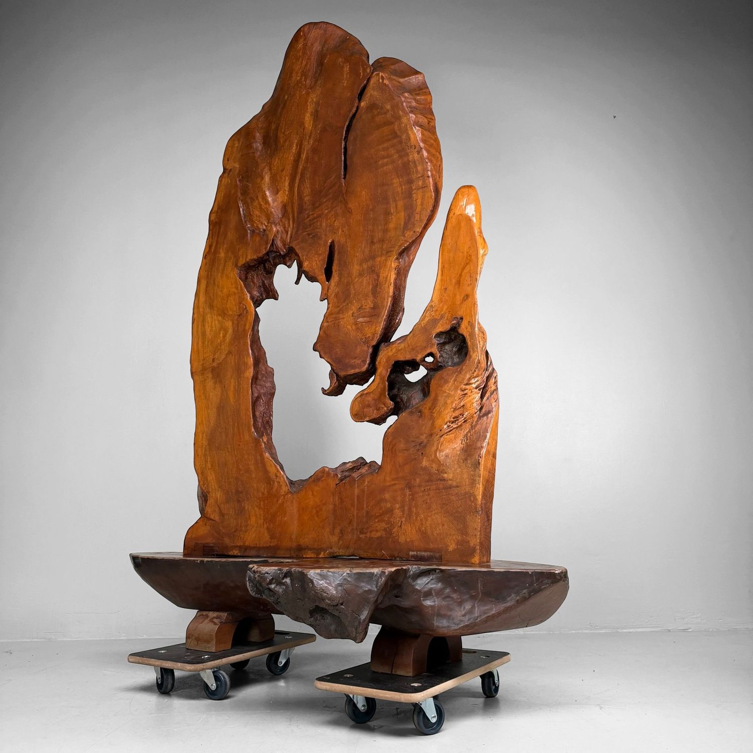 Monumental Japanese Root Wood Sculpture, Display Object, 1950s