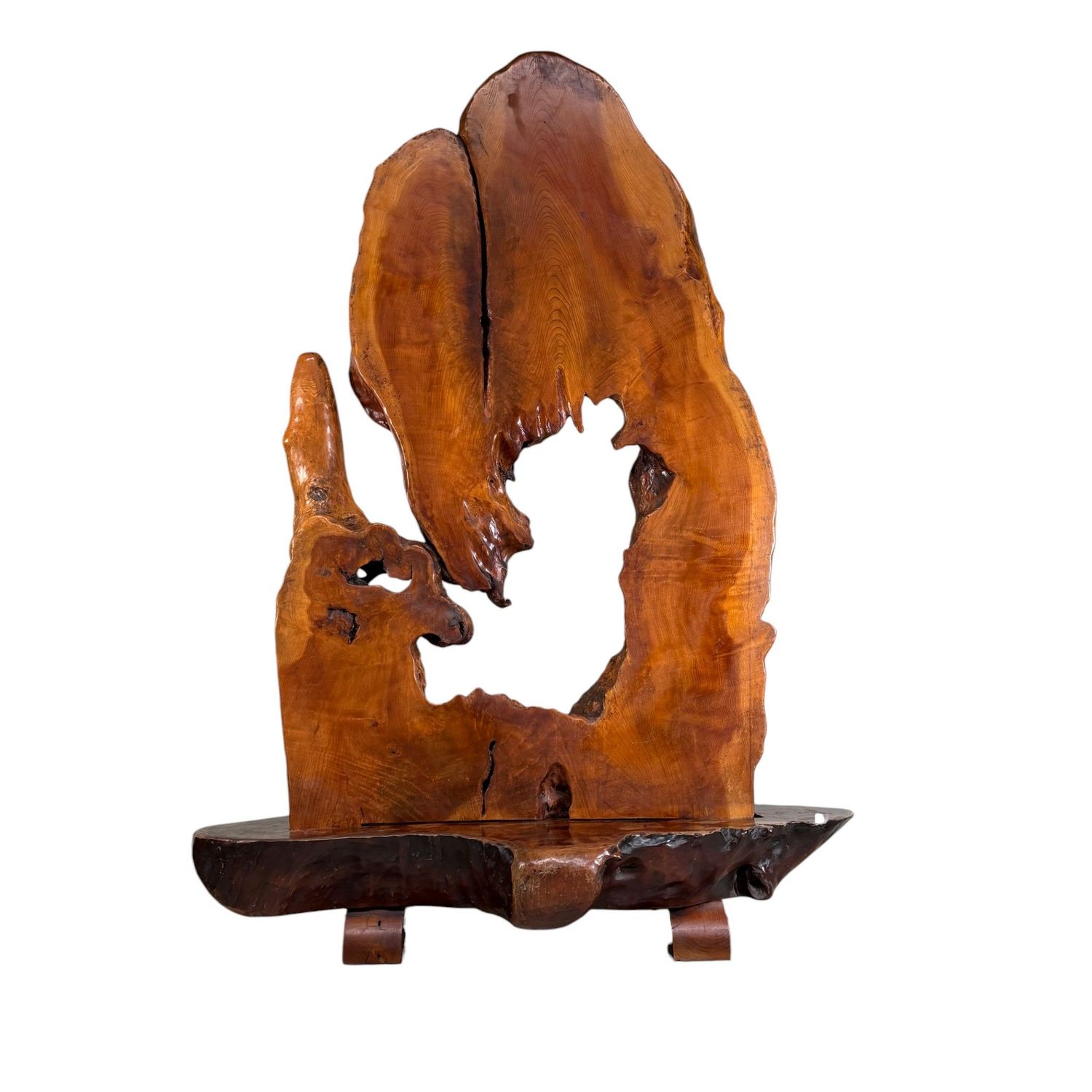 Monumental Japanese Root Wood Sculpture, Display Object, 1950s