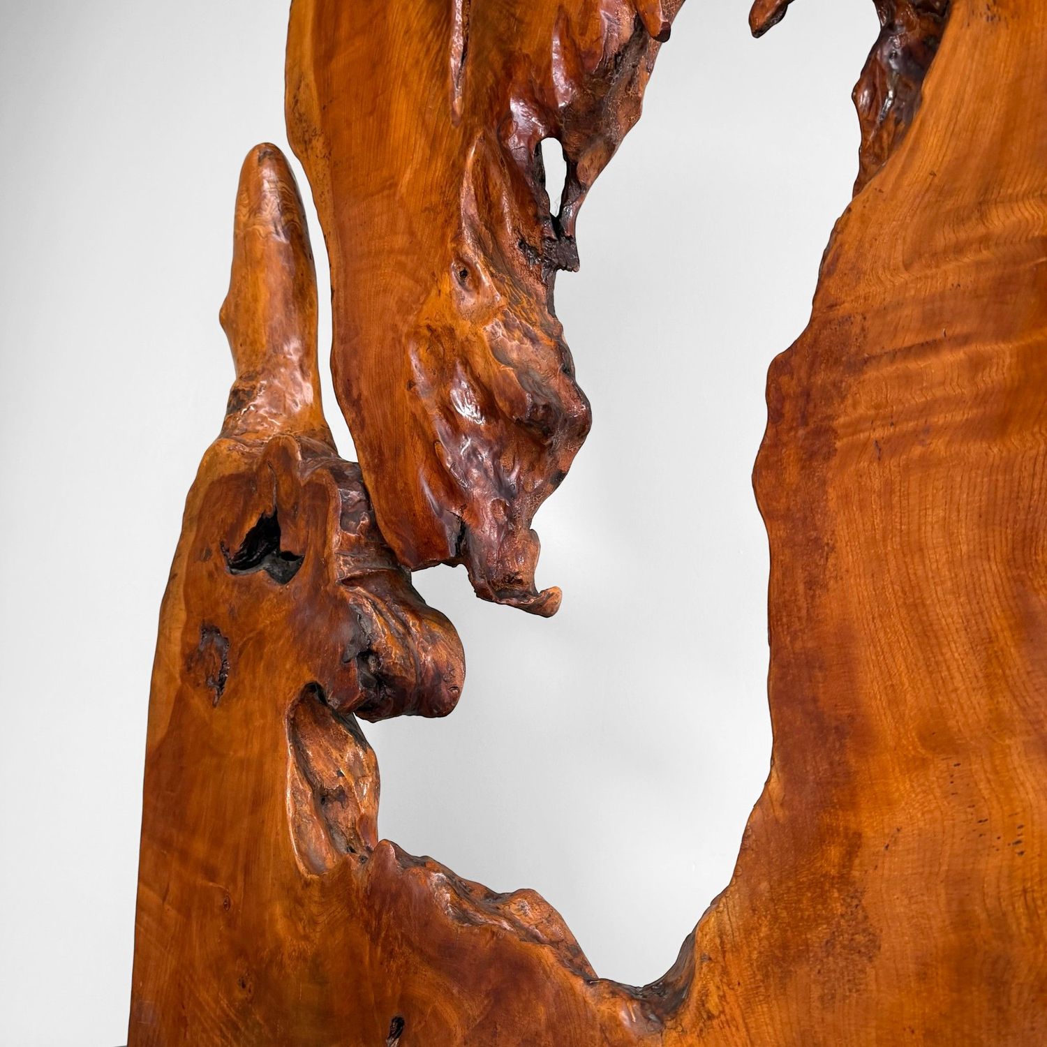 Monumental Japanese Root Wood Sculpture, Display Object, 1950s