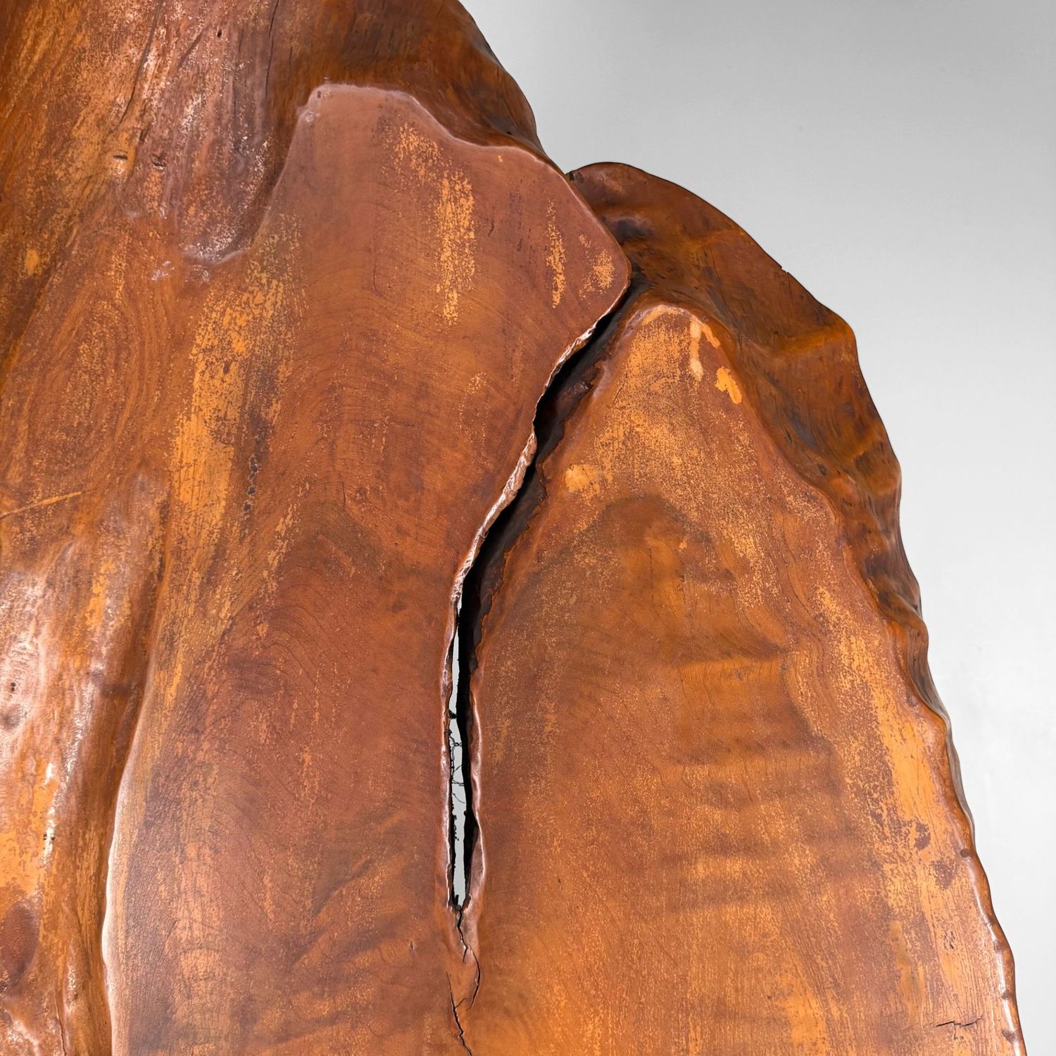 Monumental Japanese Root Wood Sculpture, Display Object, 1950s