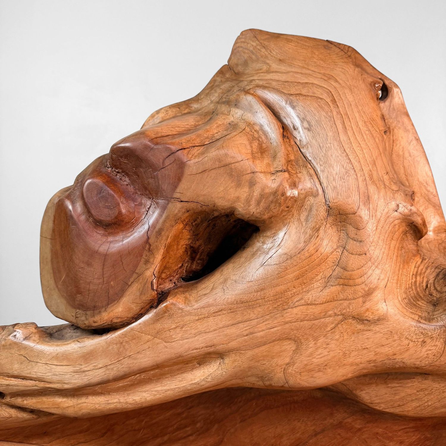 Monumental Japanese Keyaki Wood Sculptural Object, 1950s