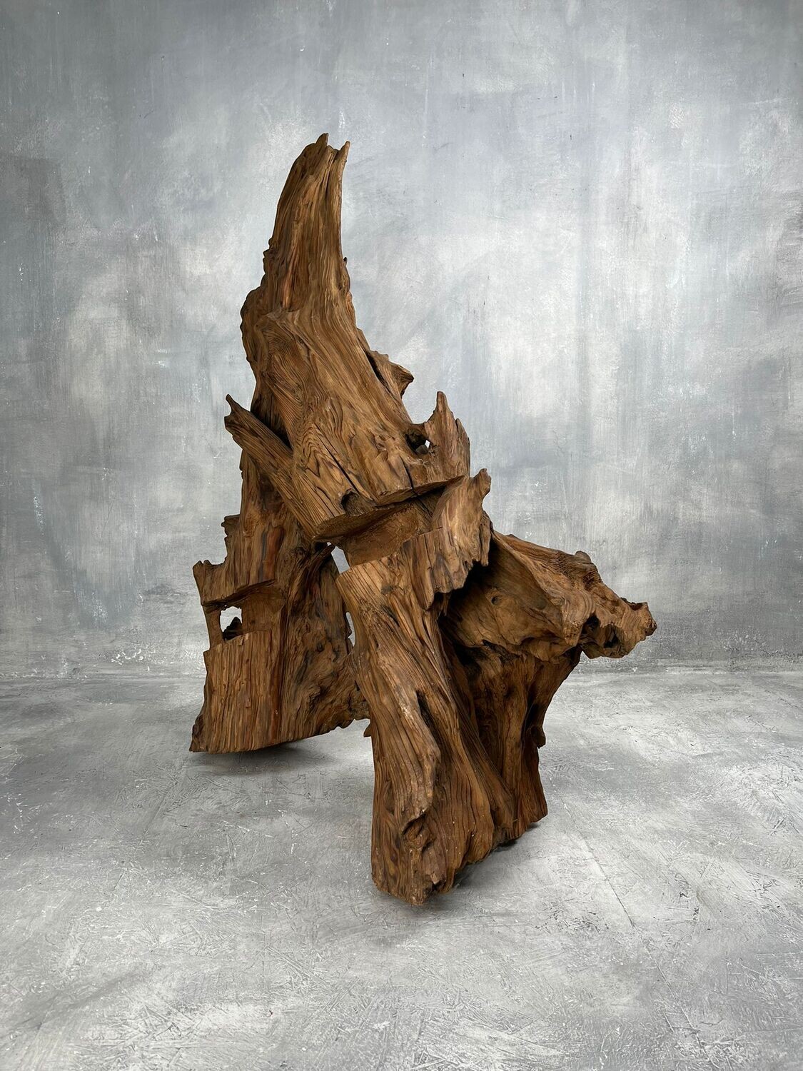 Japanese Root Wood Japanese Root Wood