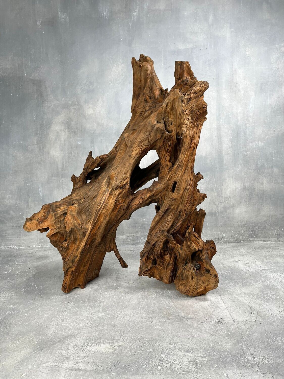 Japanese Root Wood Japanese Root Wood