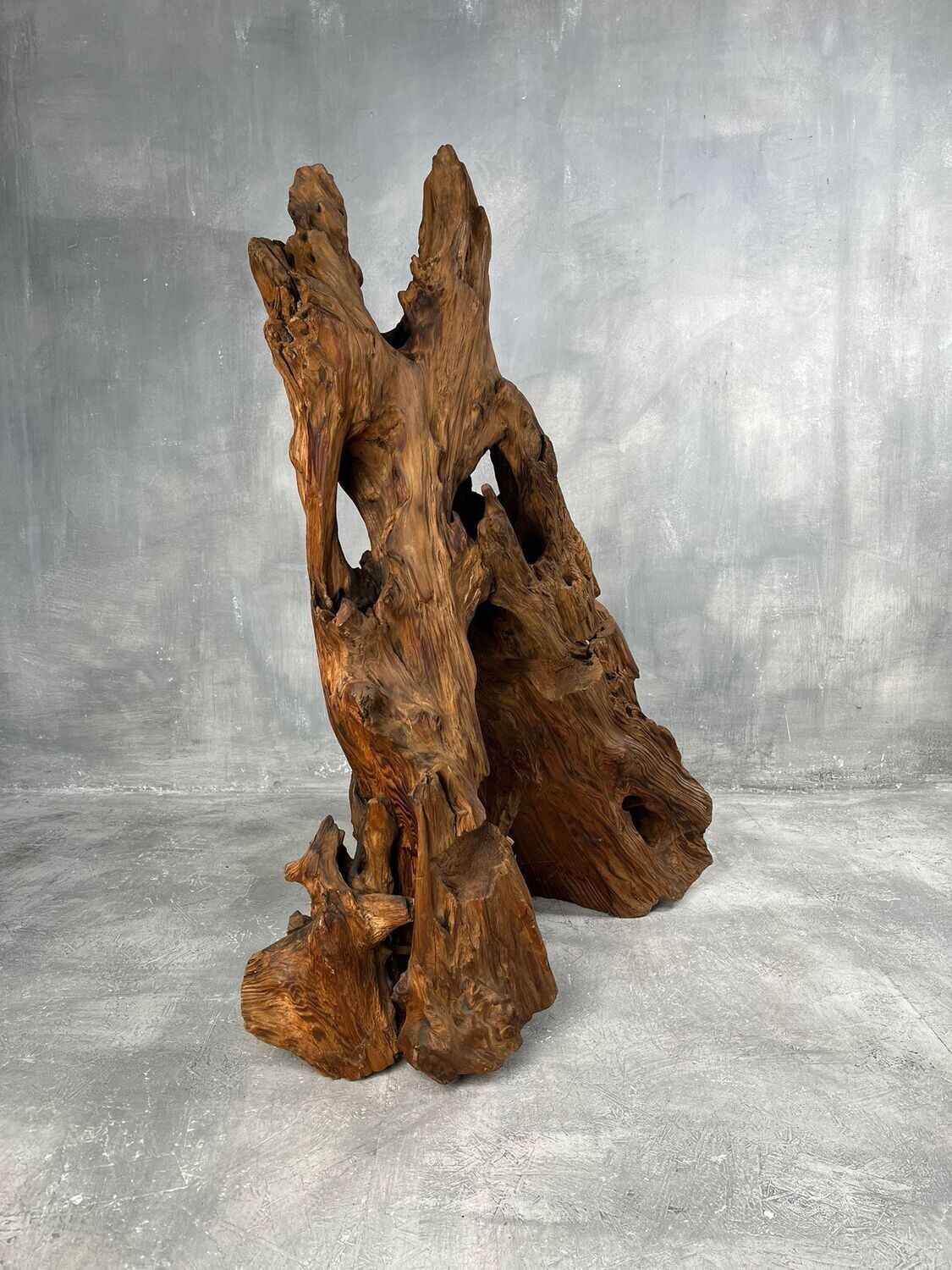 Japanese Root Wood Japanese Root Wood