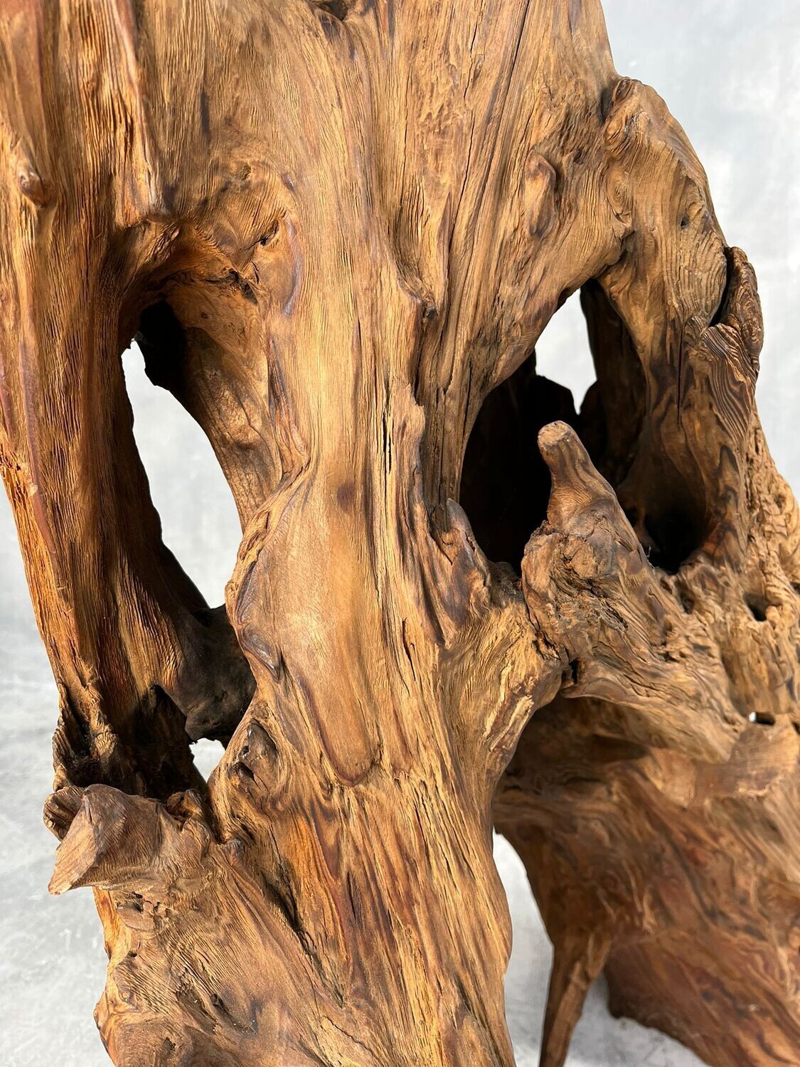 Japanese Root Wood Japanese Root Wood