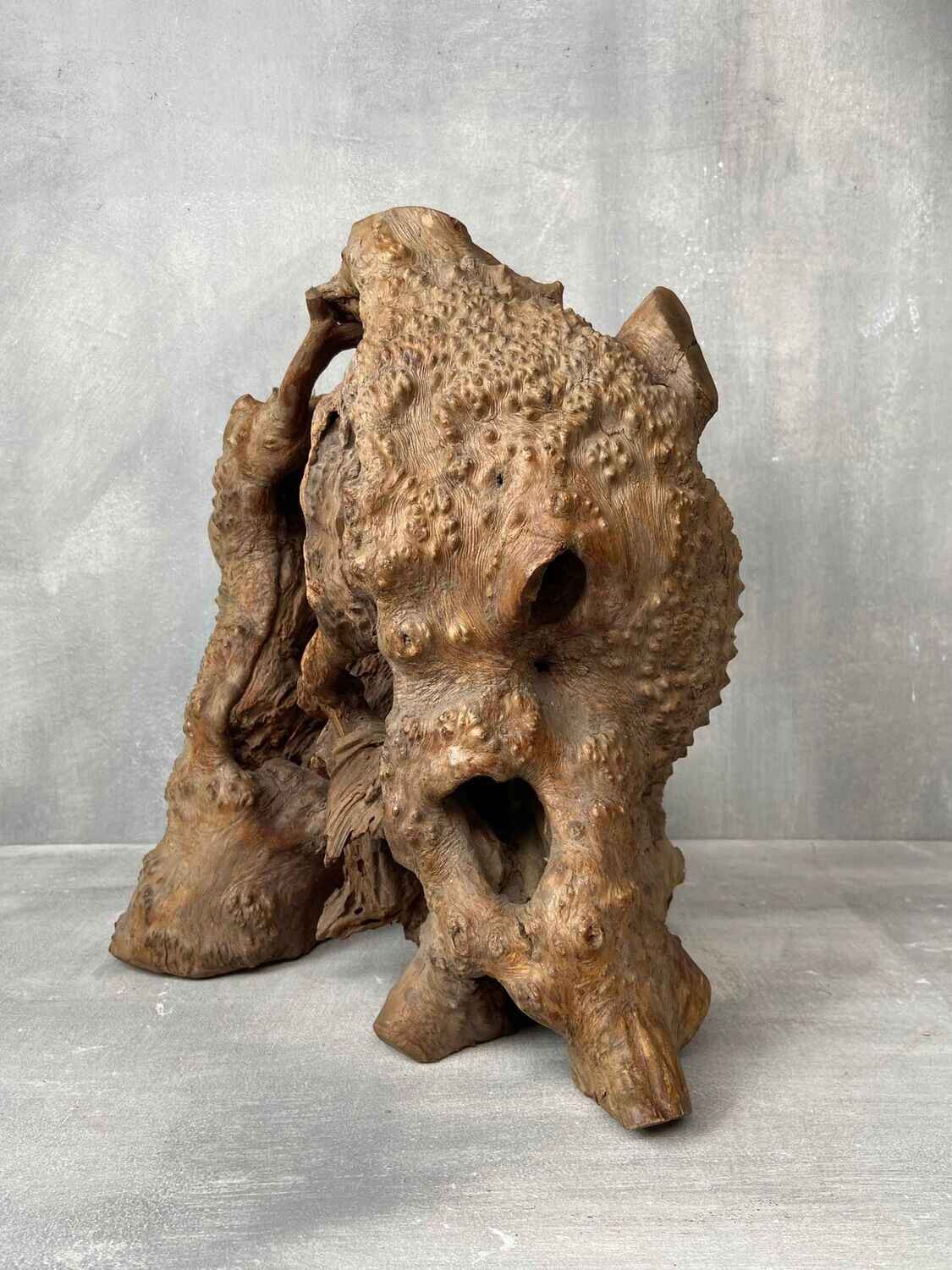 Japans Sculpturaal Wortelhoutobject in Wabi-Sabi Stijl