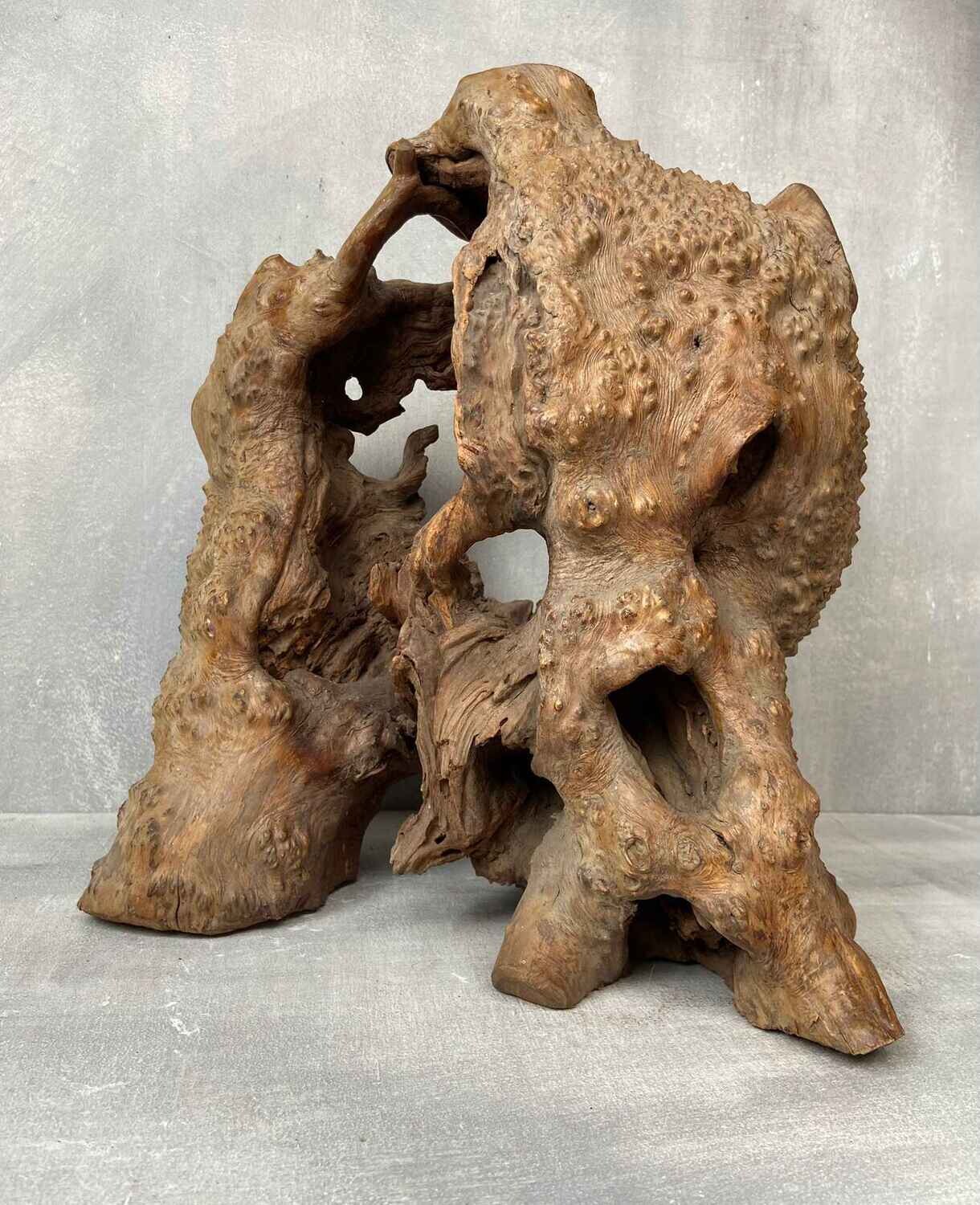 Japans Sculpturaal Wortelhoutobject in Wabi-Sabi Stijl