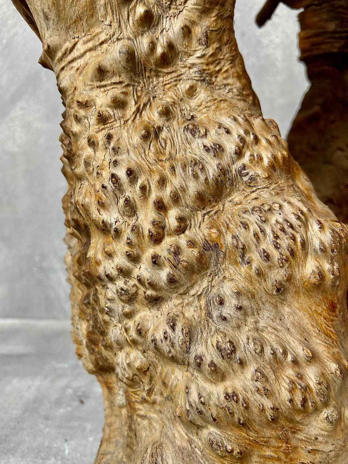 Japans Sculpturaal Wortelhoutobject in Wabi-Sabi Stijl