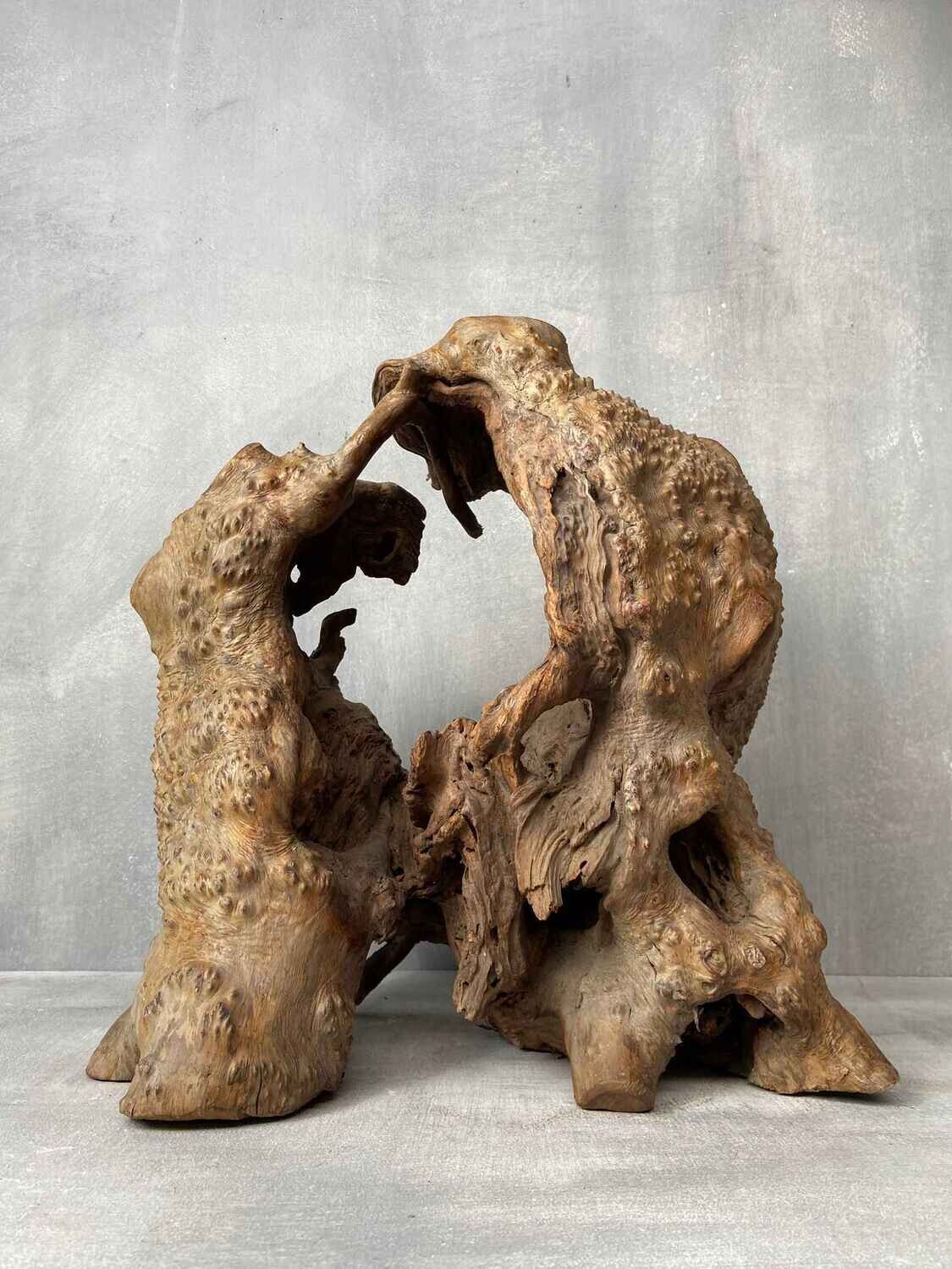 Japans Sculpturaal Wortelhoutobject in Wabi-Sabi Stijl