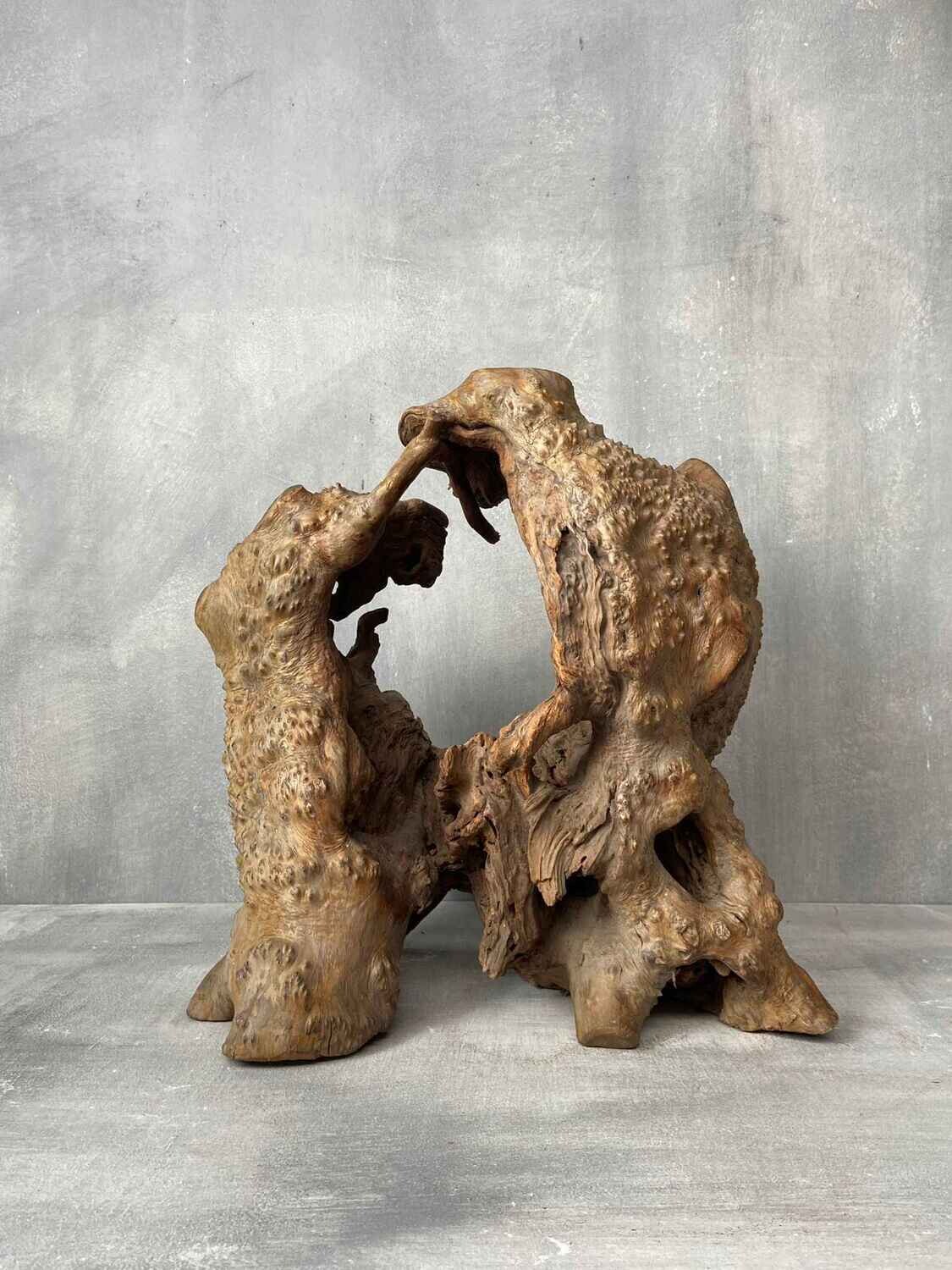 Japans Sculpturaal Wortelhoutobject in Wabi-Sabi Stijl