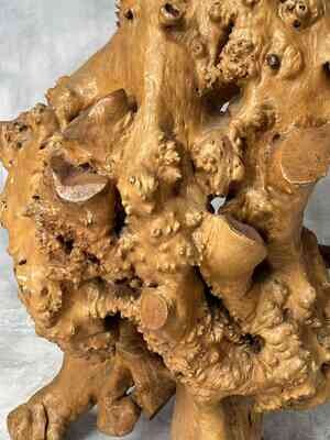 Japans Wortel Hout