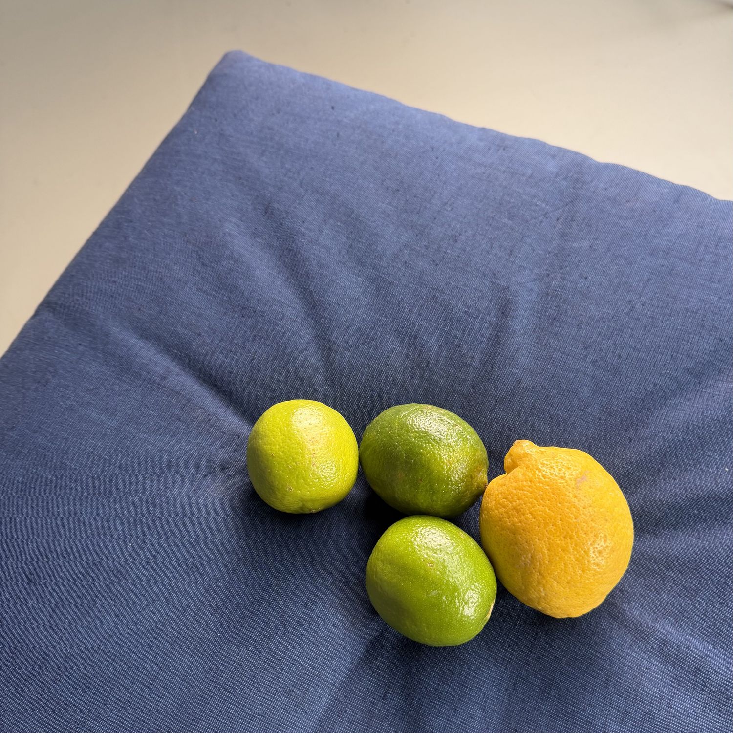 Set of 5 Vintage Zabuton Floor Cushions, Indigo, 1980s
