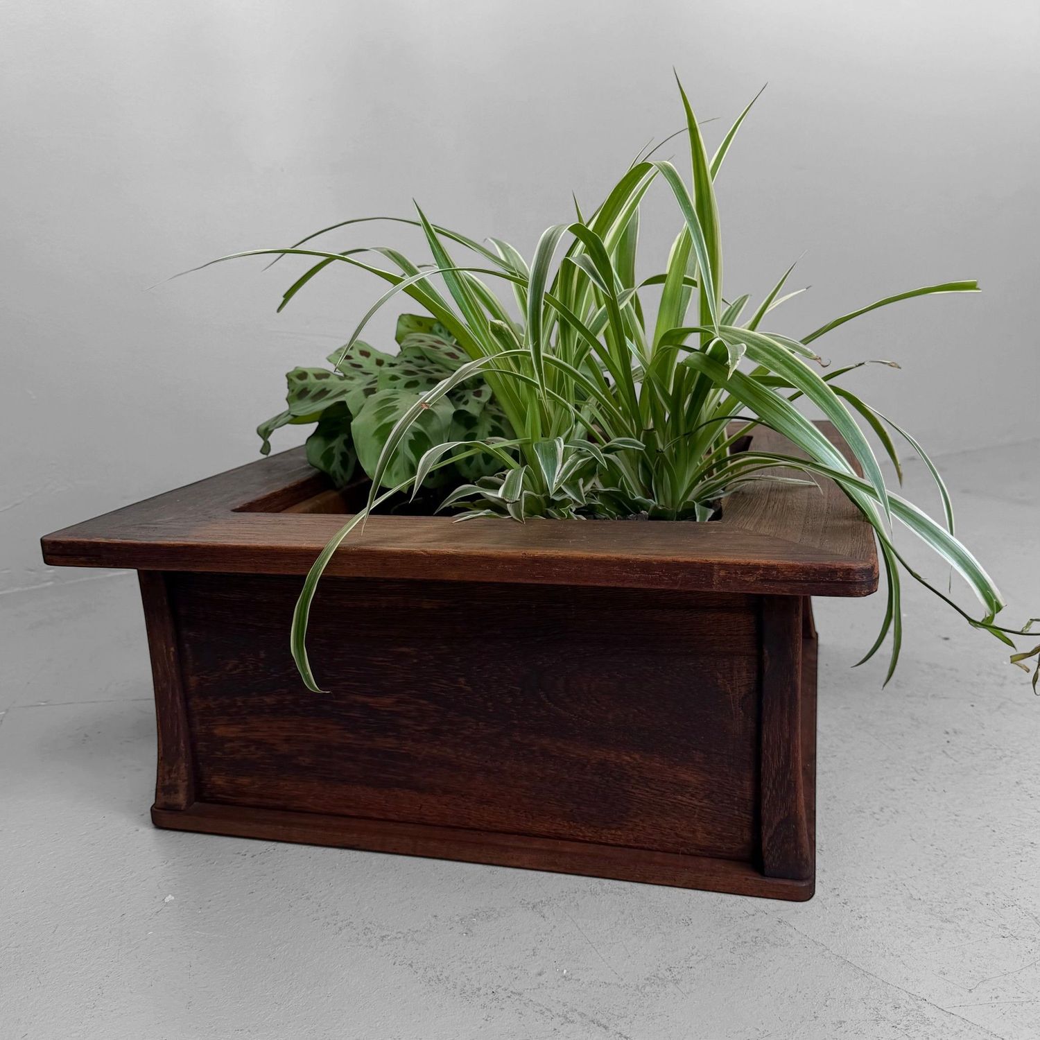 Antieke Japanse Houten Hibachi / Plantenhouder, 1880–1900