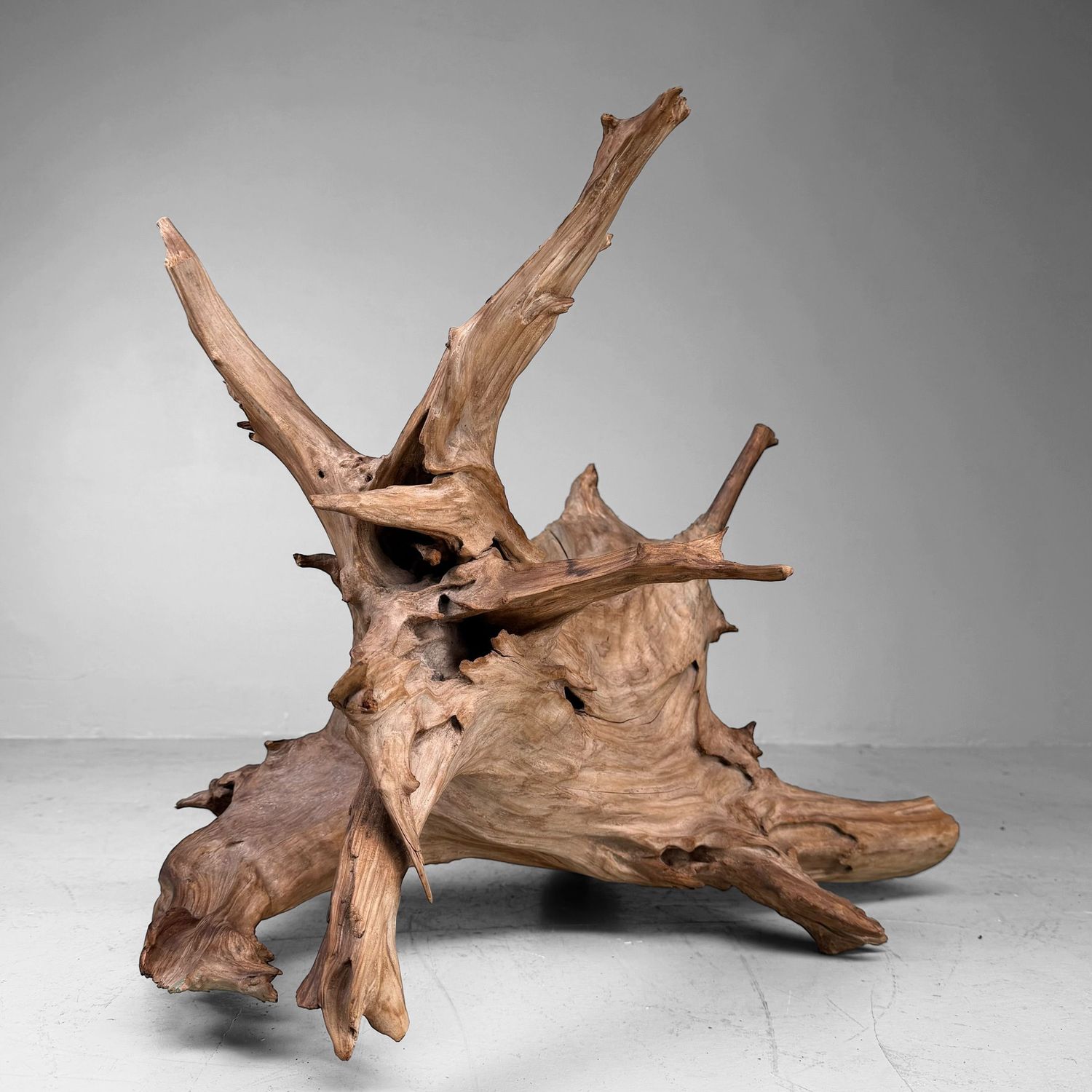 Japanse Koboku Wortelhout Sculptuur / Ikebana Object, 1960s