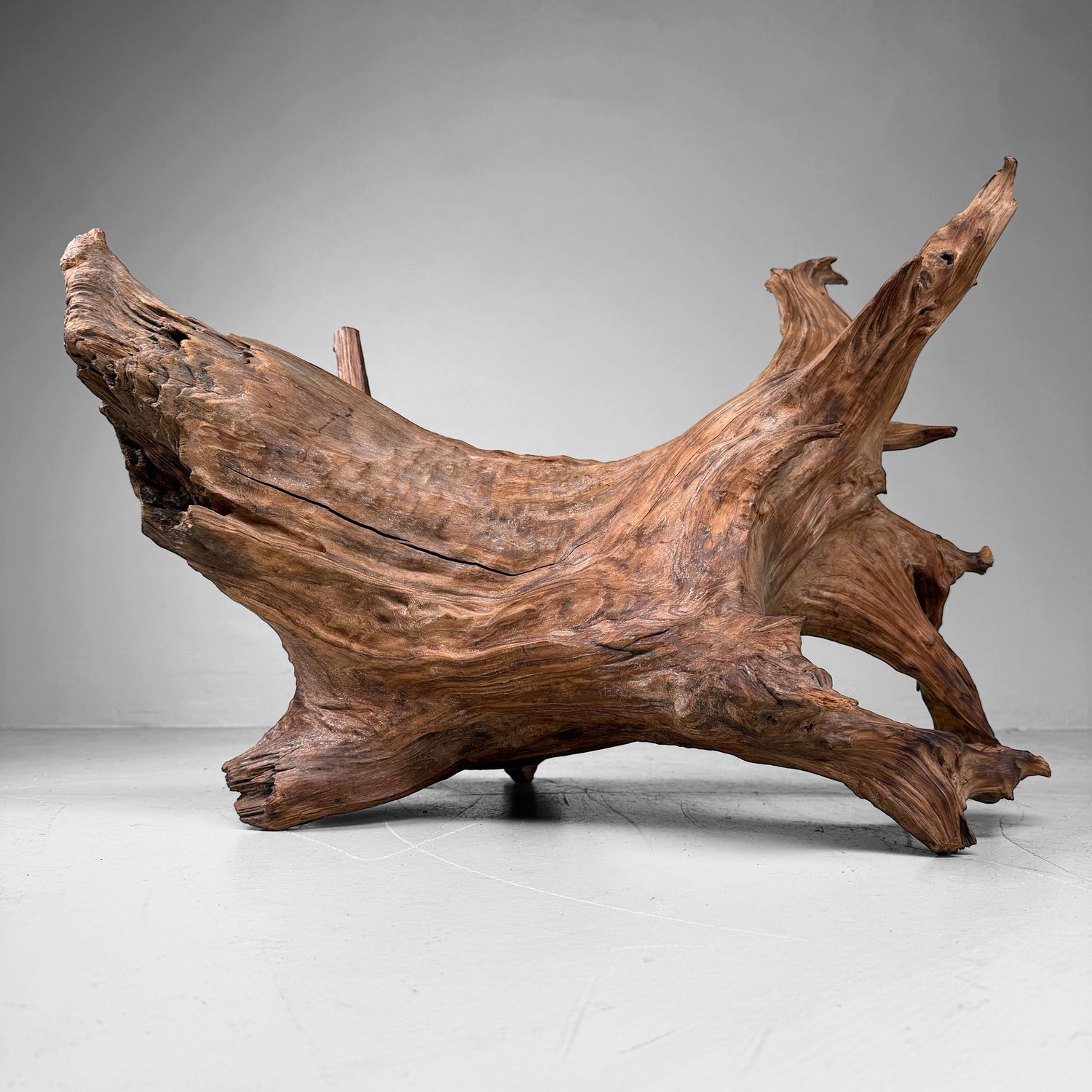 Japanse Koboku Wortelhout Sculptuur / Ikebana Object, 1960s
