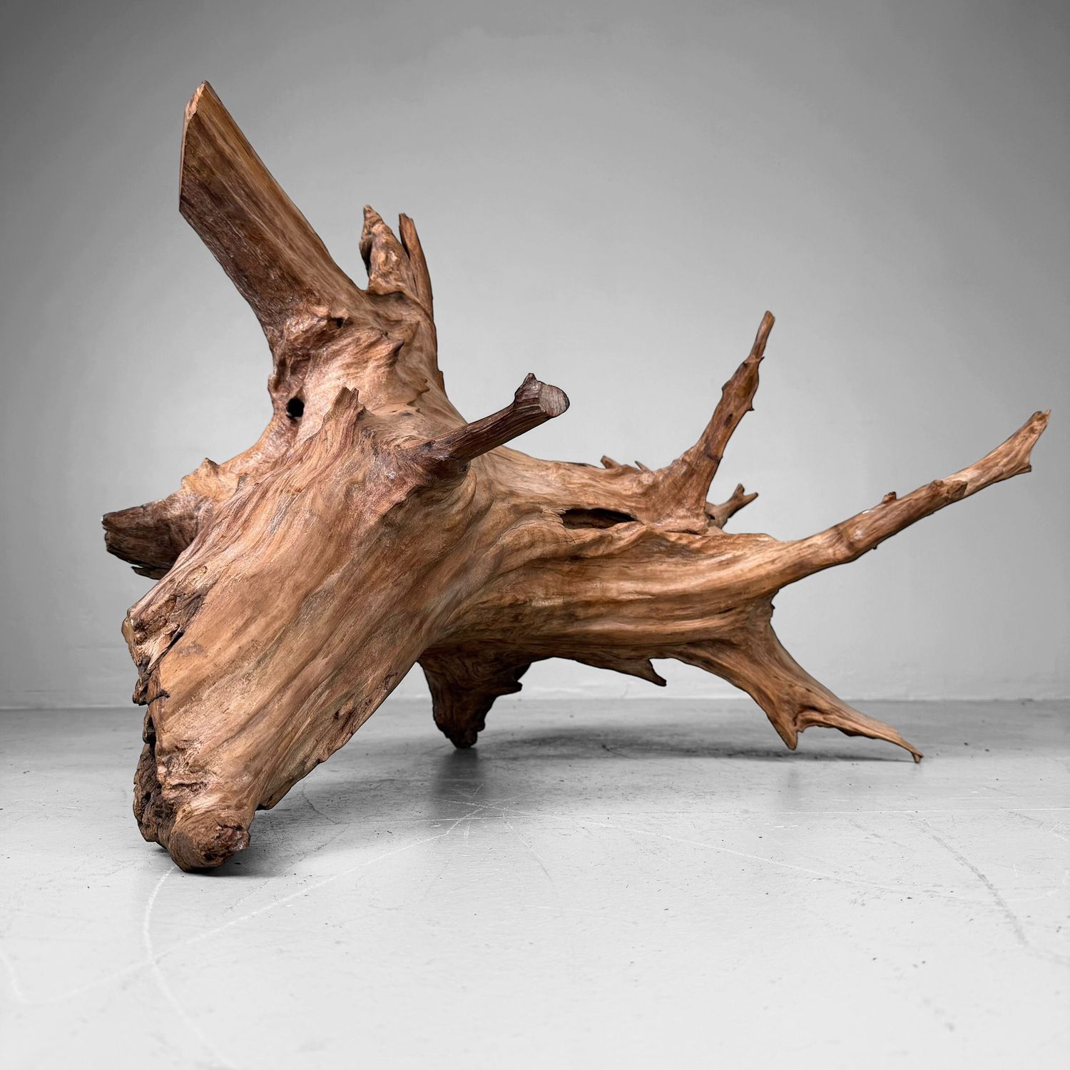 Japanse Koboku Wortelhout Sculptuur / Ikebana Object, 1960s