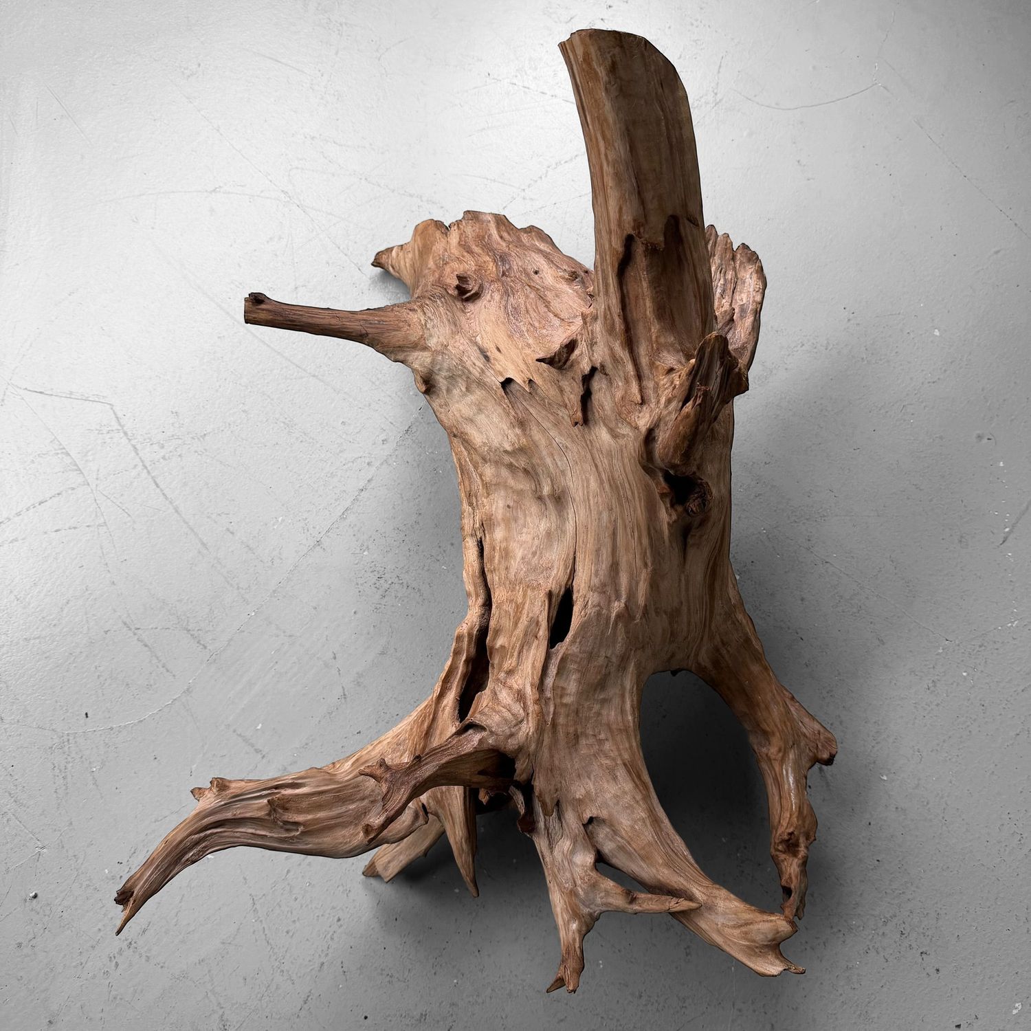 Japanse Koboku Wortelhout Sculptuur / Ikebana Object, 1960s