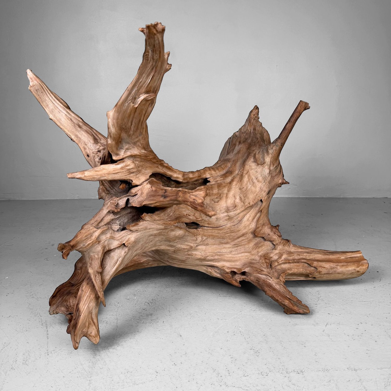 Japanse Koboku Wortelhout Sculptuur / Ikebana Object, 1960s