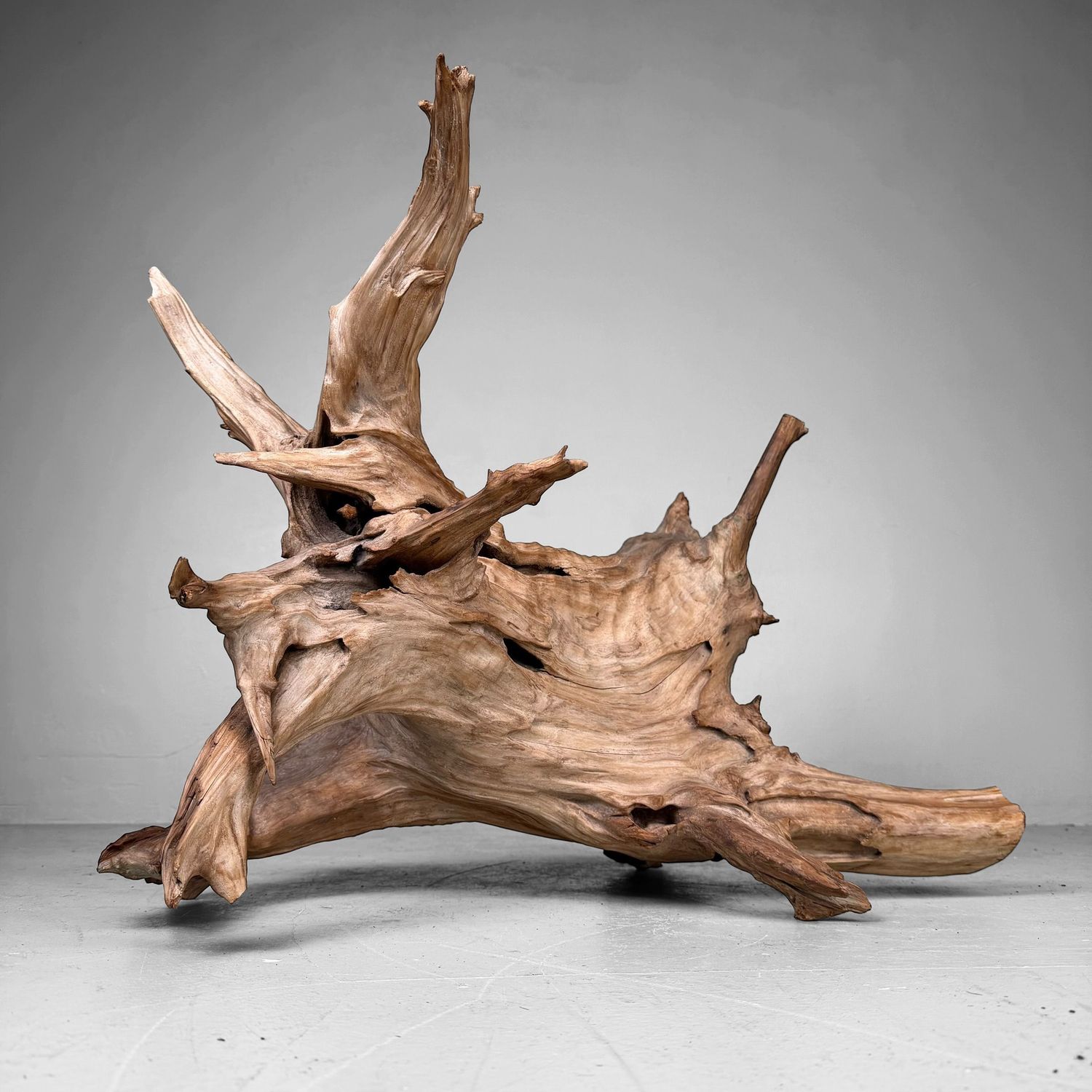 Japanese Koboku Root Wood Sculpture / Ikebana Object, 1960s