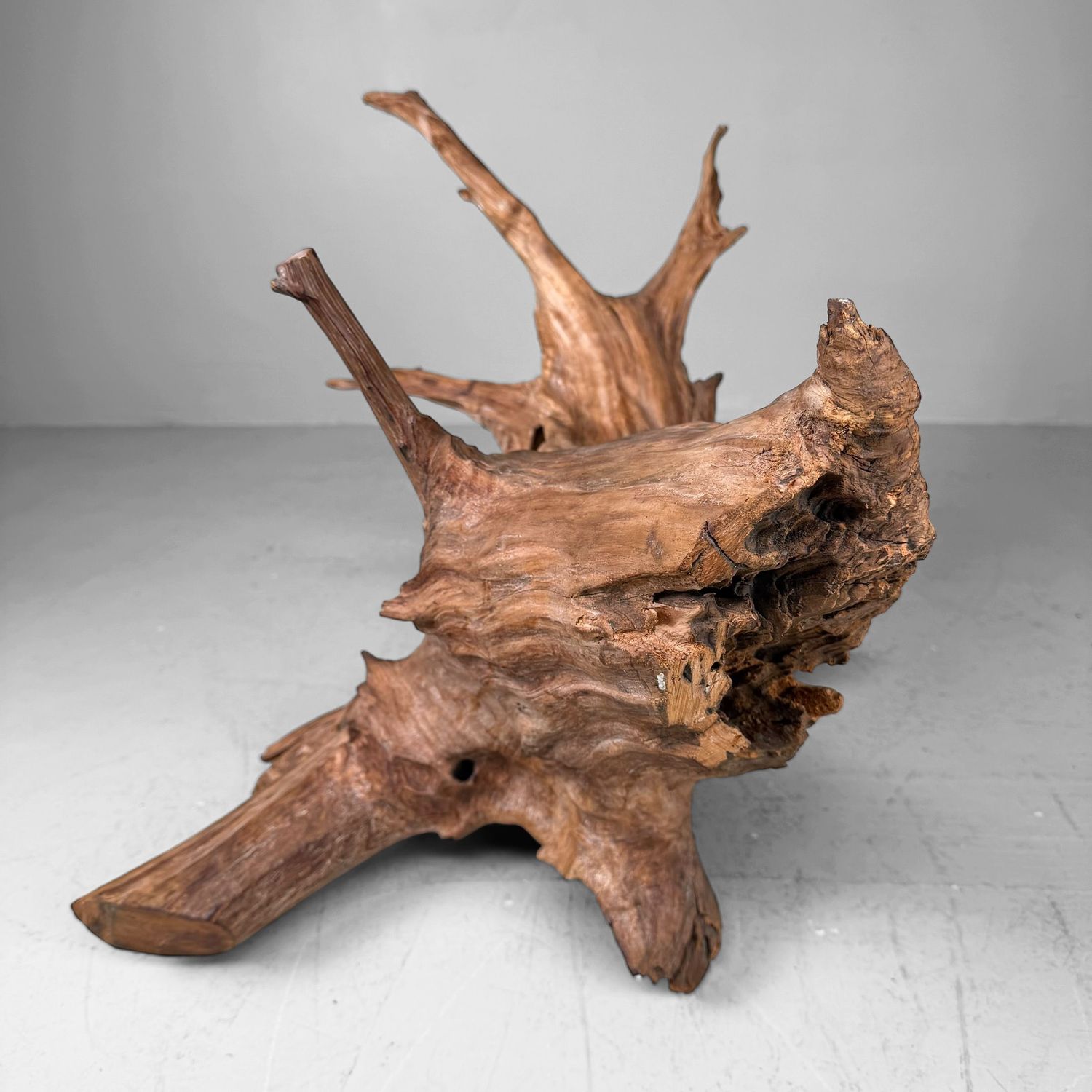 Japanse Koboku Wortelhout Sculptuur / Ikebana Object, 1960s