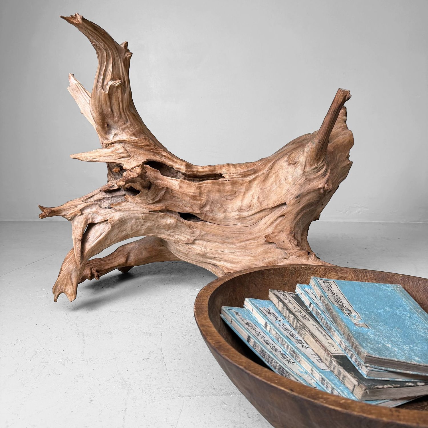 Japanse Koboku Wortelhout Sculptuur / Ikebana Object, 1960s