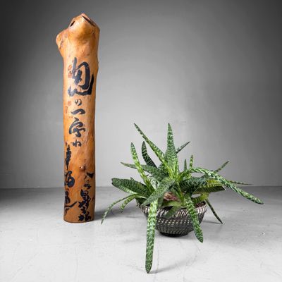 Japanse Koboku Hanaire Boomstam / Wabi-Sabi Ikebana Object, 1960s