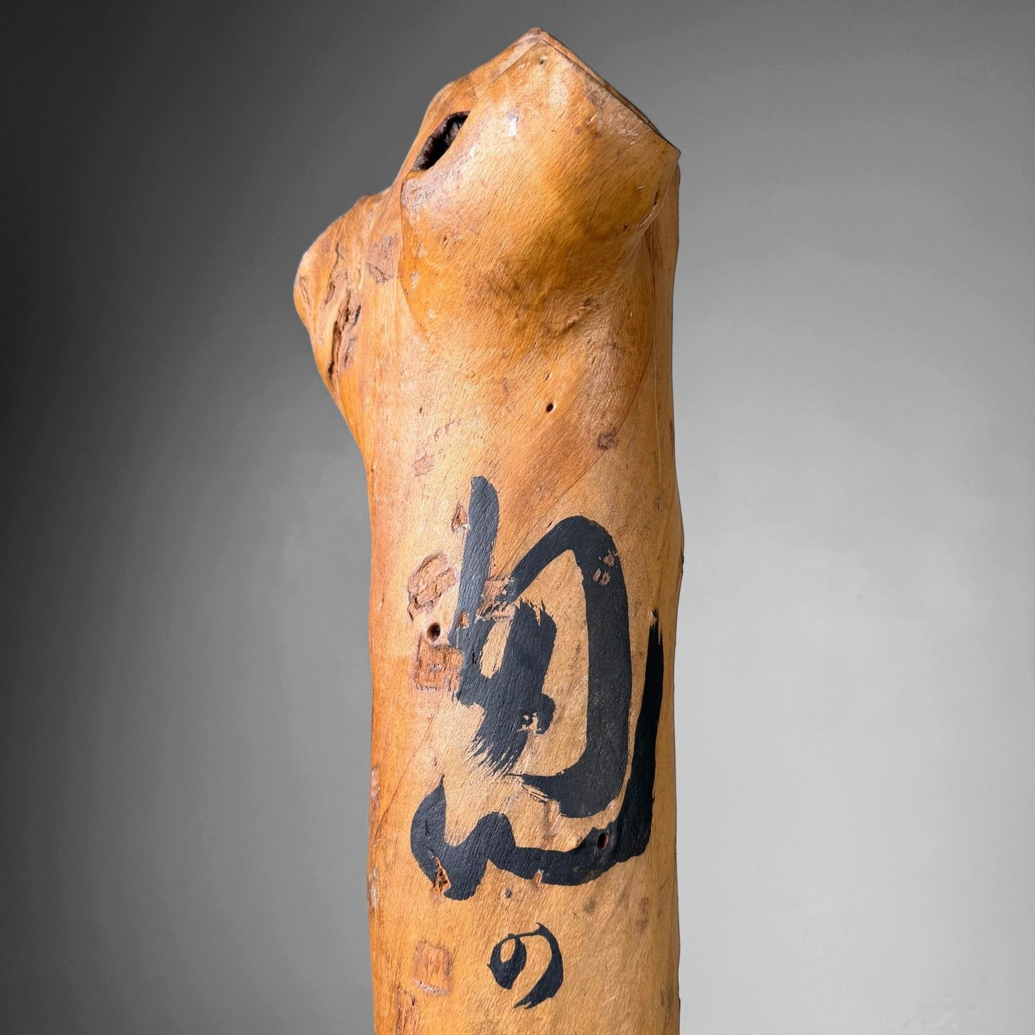 Japanse Koboku Hanaire Boomstam / Wabi-Sabi Ikebana Object, 1960s