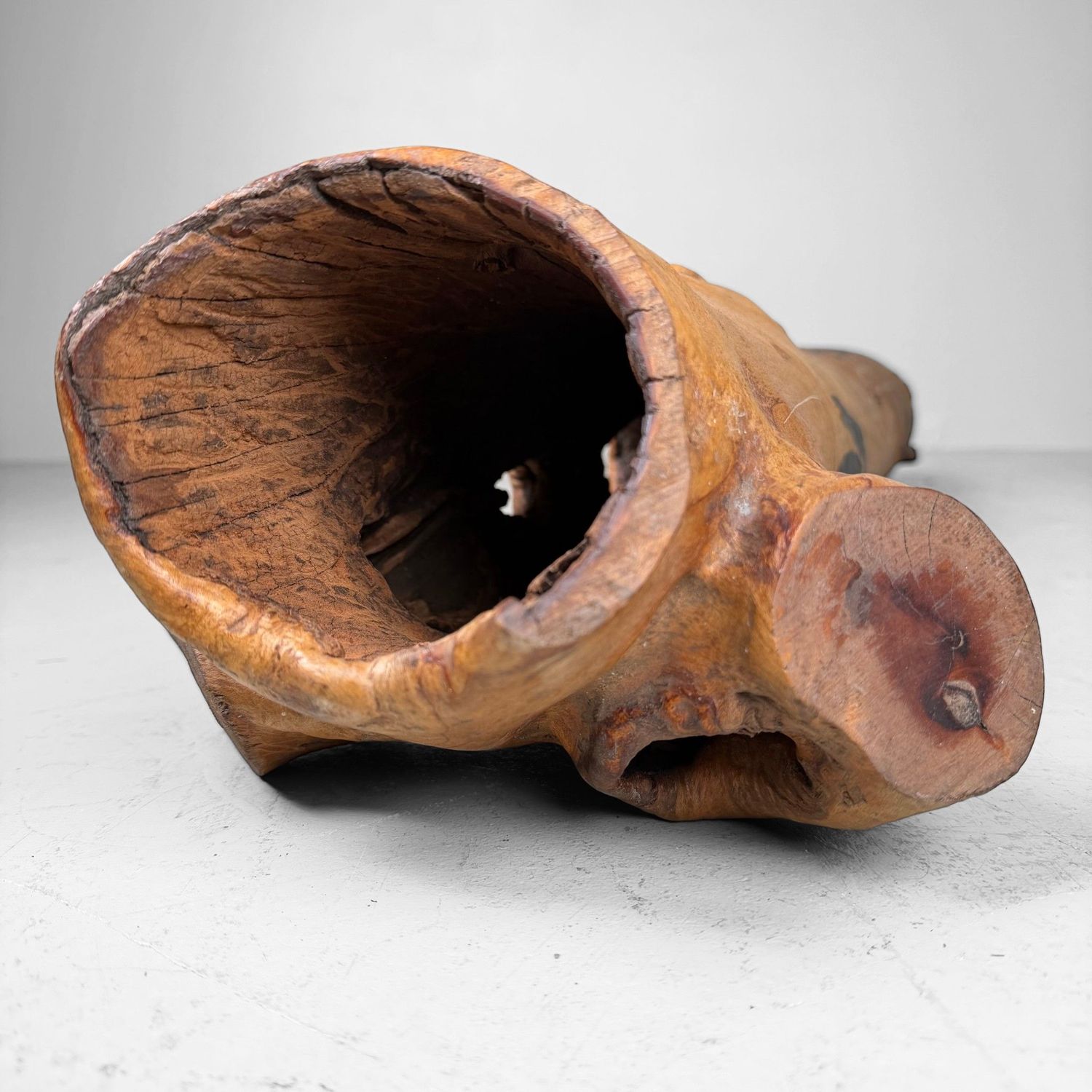 Japanse Koboku Hanaire Boomstam / Wabi-Sabi Ikebana Object, 1960s