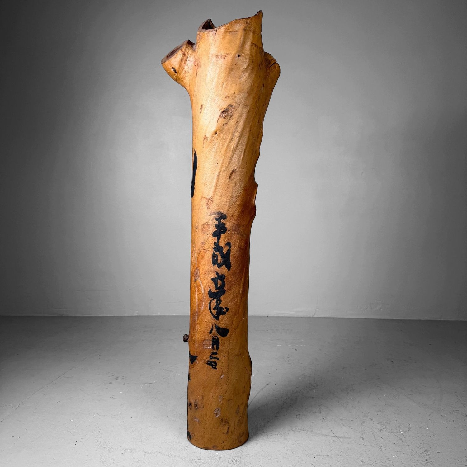 Japanse Koboku Hanaire Boomstam / Wabi-Sabi Ikebana Object, 1960s