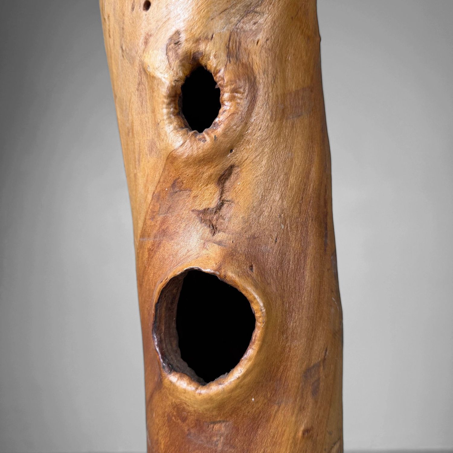 Japanse Koboku Hanaire Boomstam / Wabi-Sabi Ikebana Object, 1960s