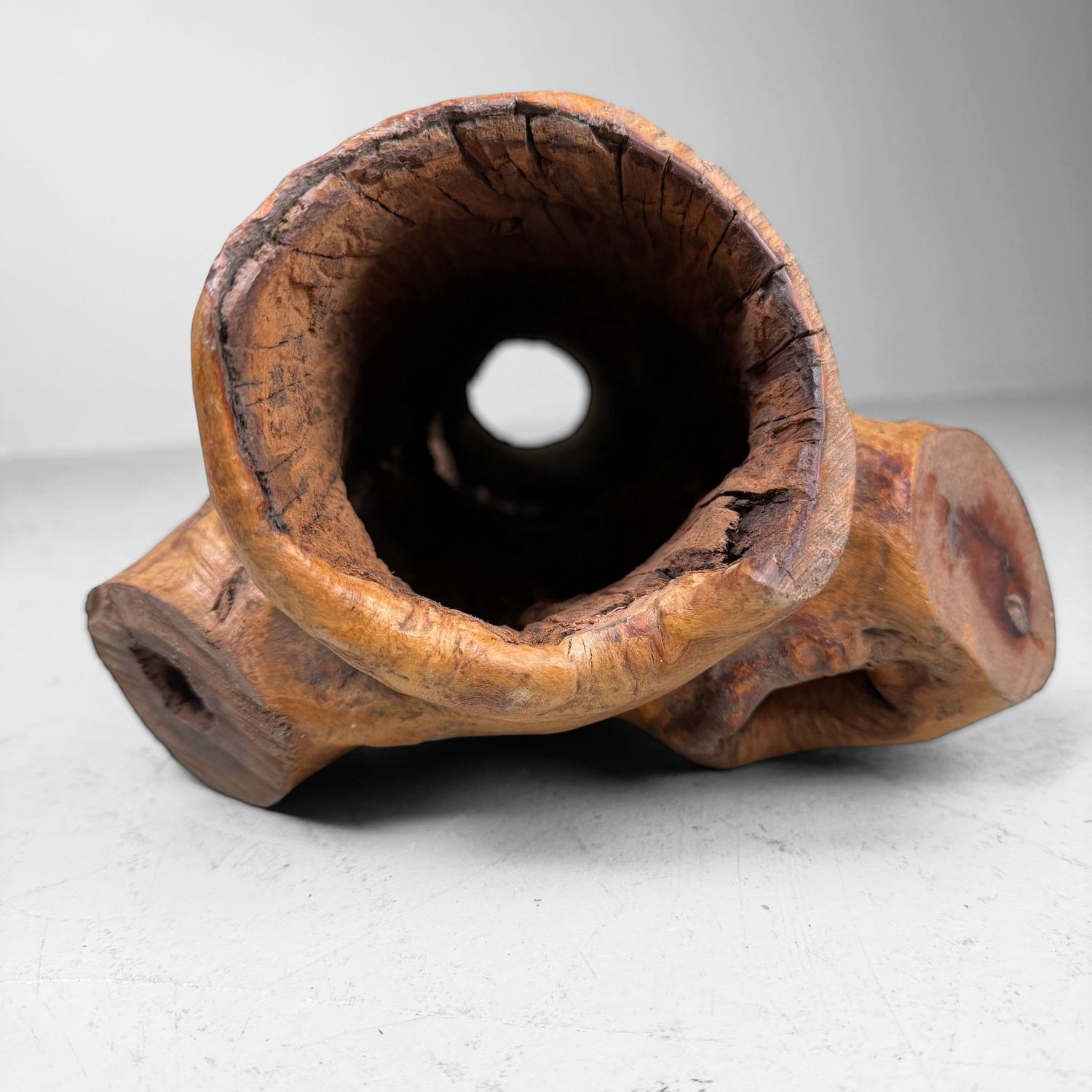 Japanse Koboku Hanaire Boomstam / Wabi-Sabi Ikebana Object, 1960s