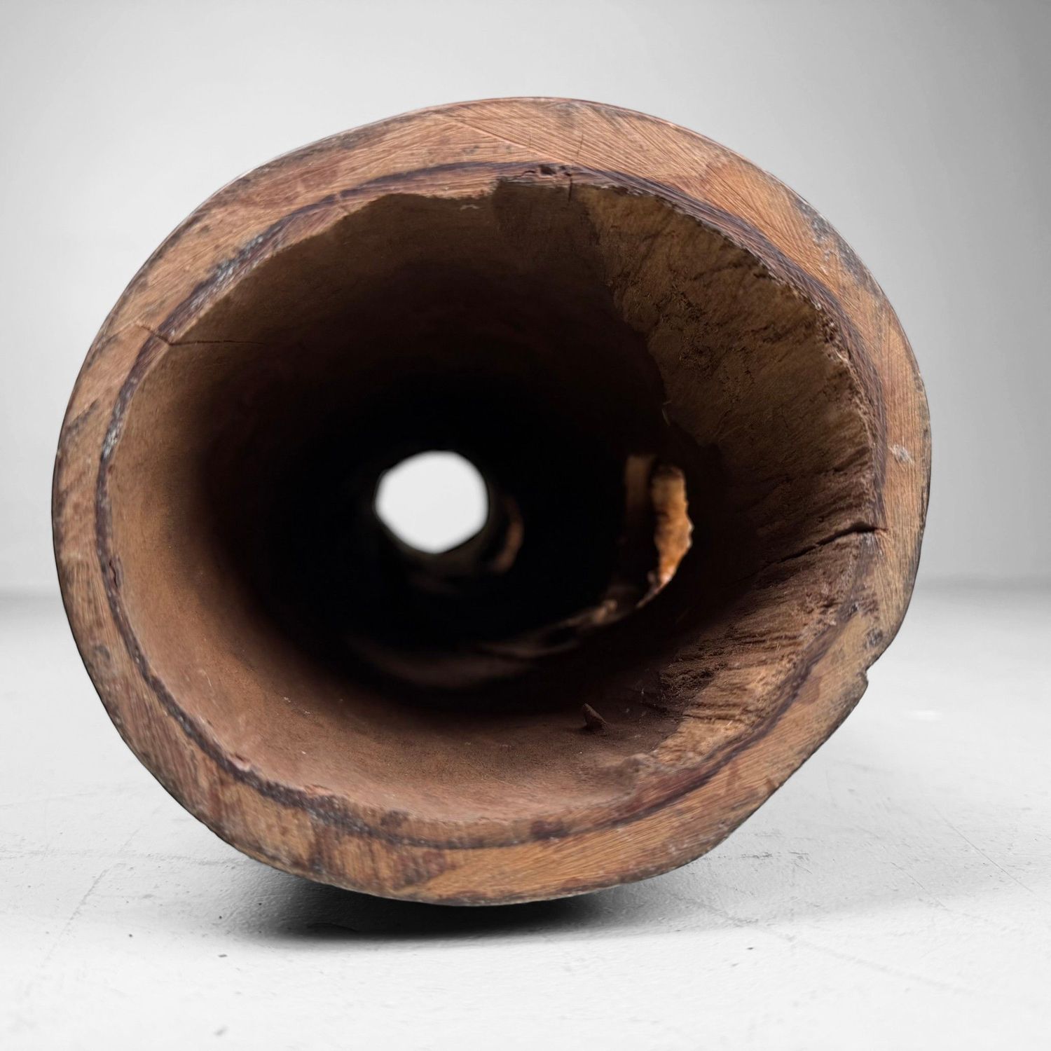 Japanse Koboku Hanaire Boomstam / Wabi-Sabi Ikebana Object, 1960s