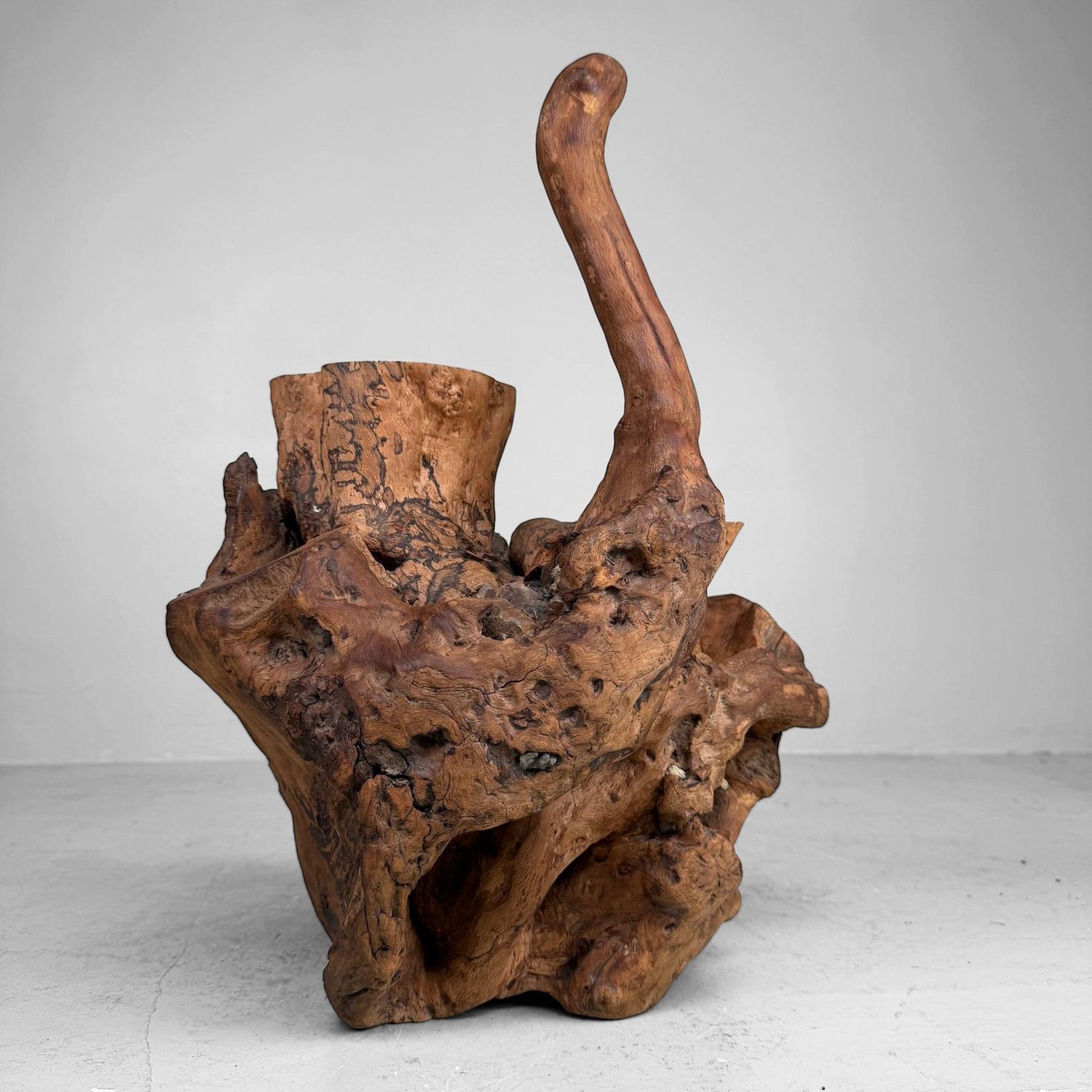 Japanese Koboku Root Wood Sculpture / Ikebana Object, 1960s