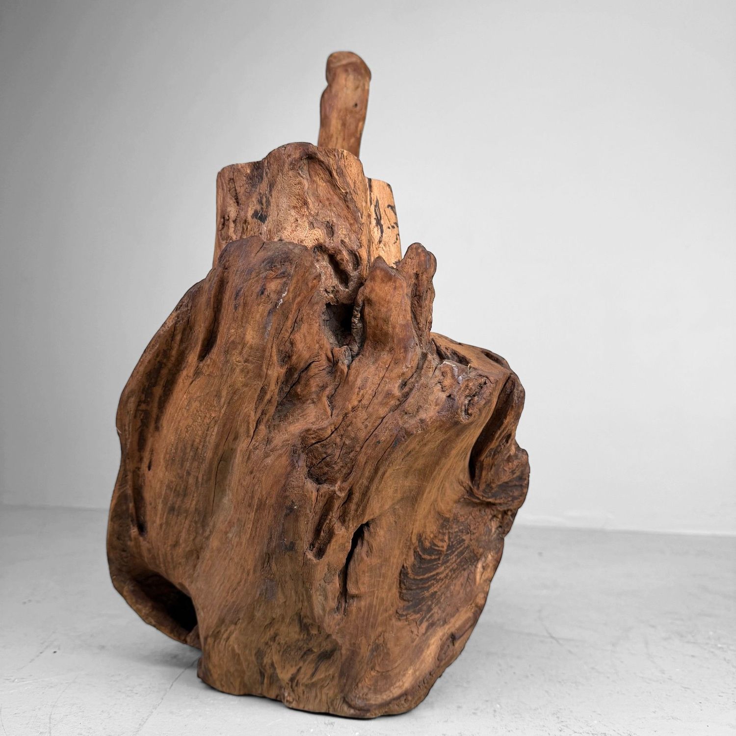 Japanese Koboku Root Wood Sculpture / Ikebana Object, 1960s
