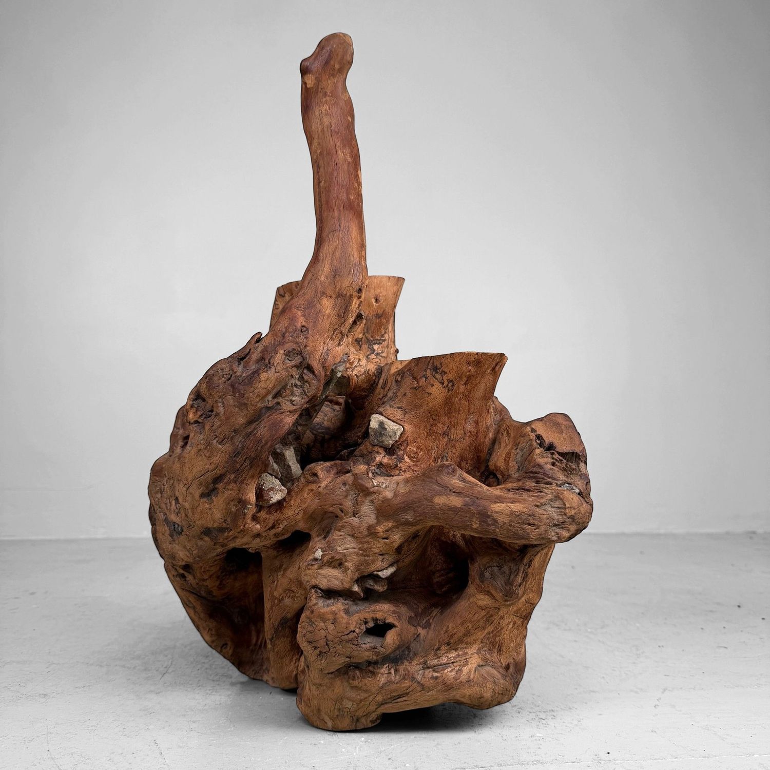 Japanese Koboku Root Wood Sculpture / Ikebana Object, 1960s