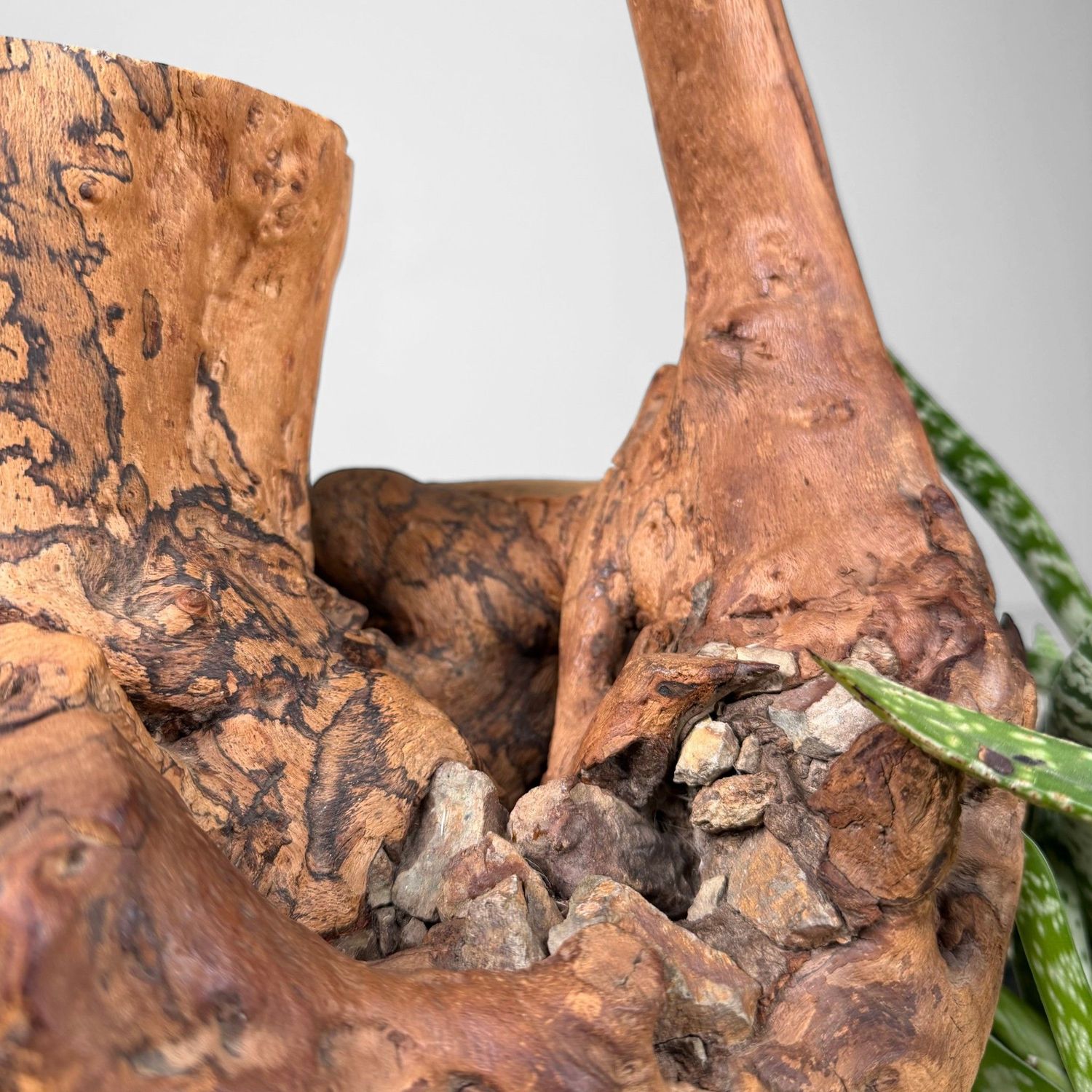 Japanese Koboku Root Wood Sculpture / Ikebana Object, 1960s