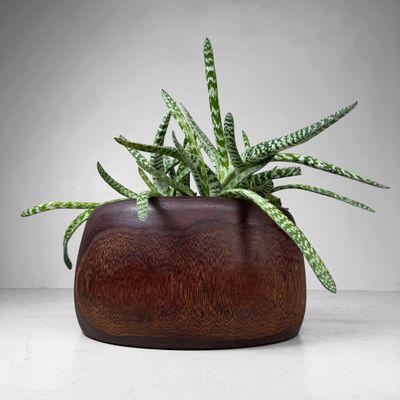 Japanese Wooden Hibachi Brazier / Planter, 1930s
