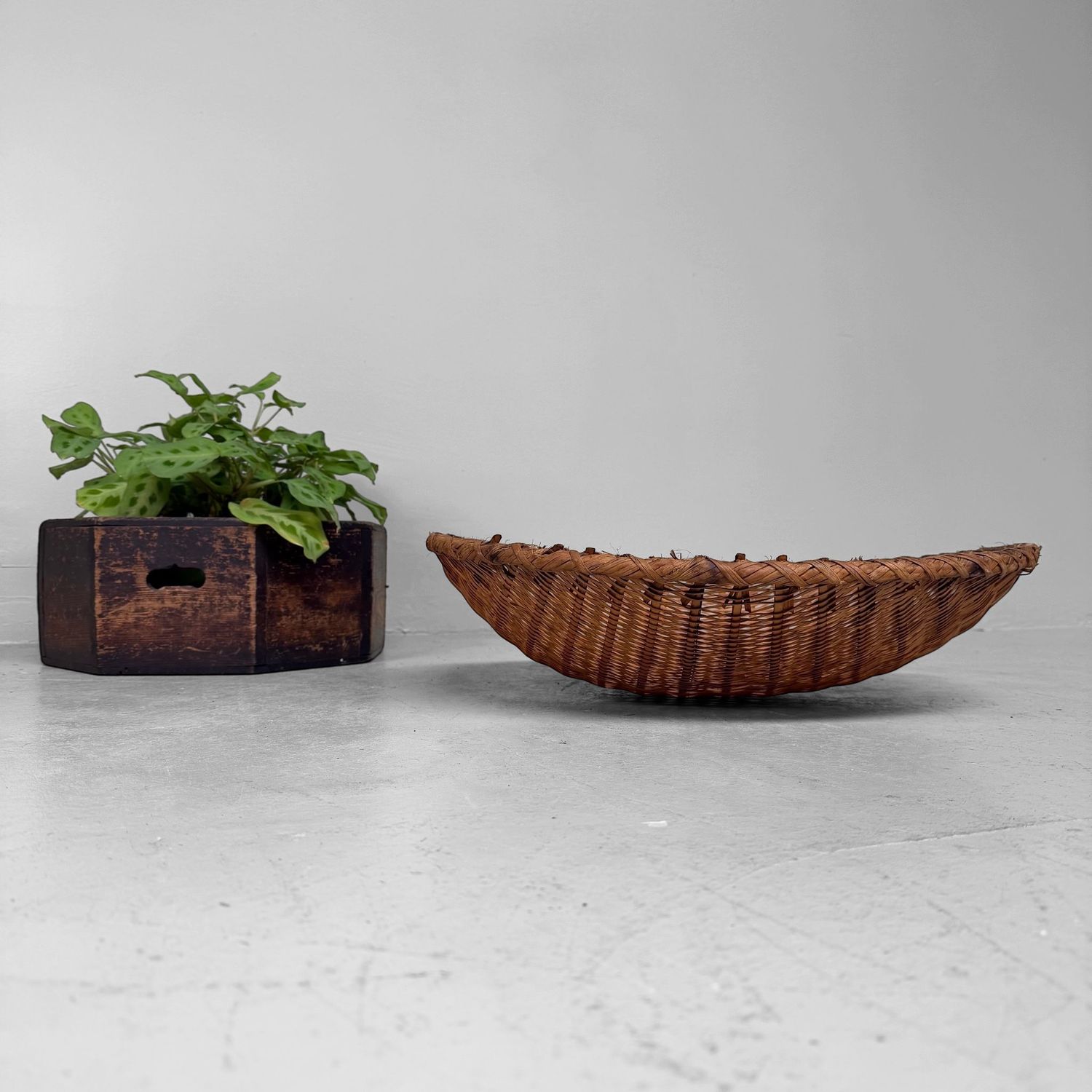 Vintage Japanse Bamboe Droogmand / Zaru, jaren 1950–1960
