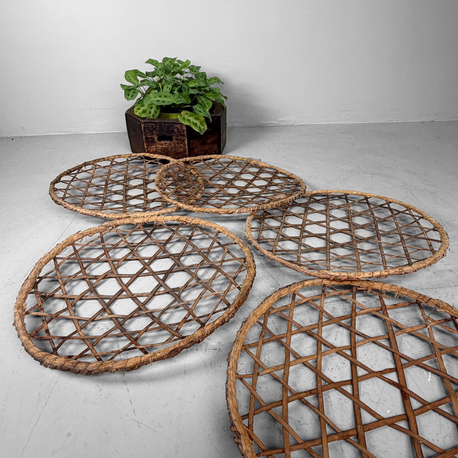Set van Vijf Japanse Bamboe Droogmanden / Zaru, 1930–1950