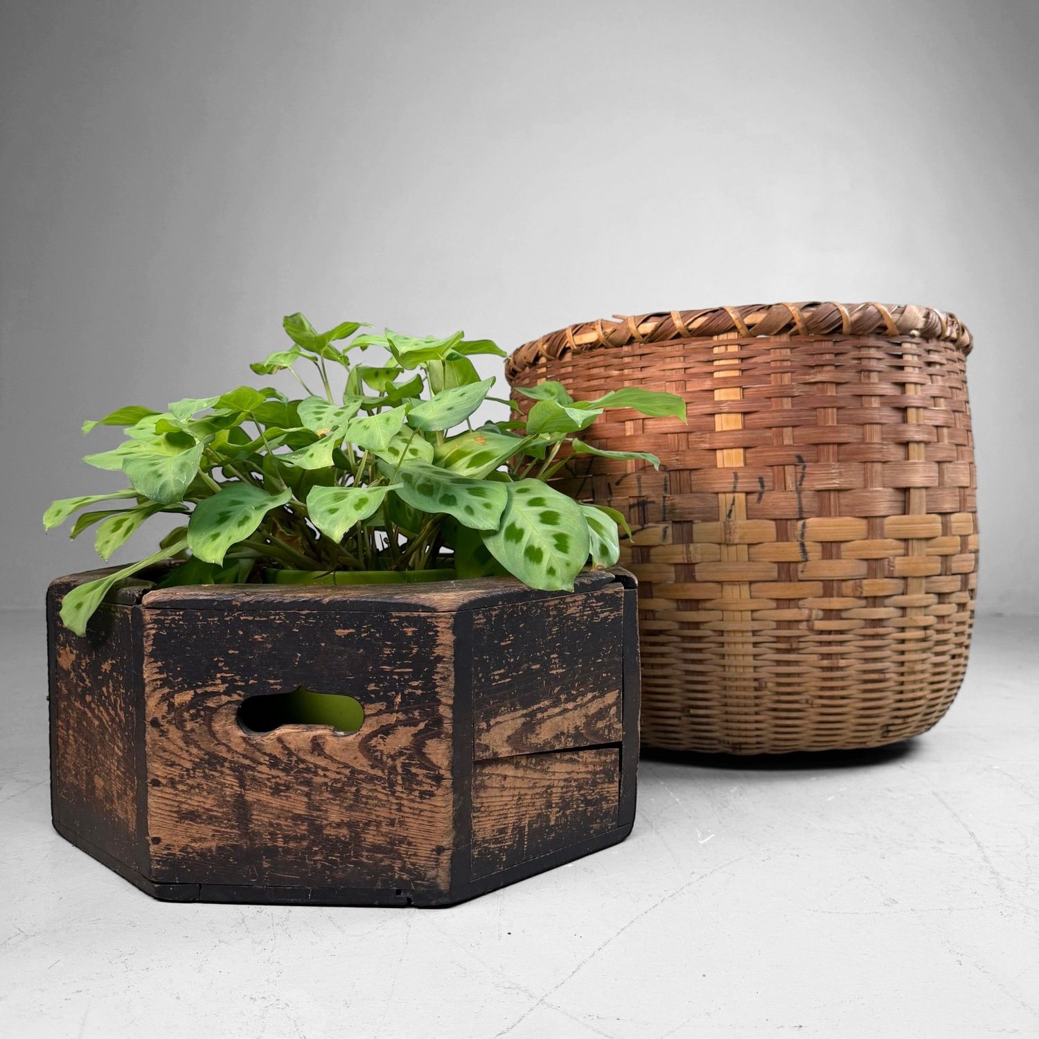 Japanse Bamboe Voorraadmand / Decoratieve Interieurmand, 1960s