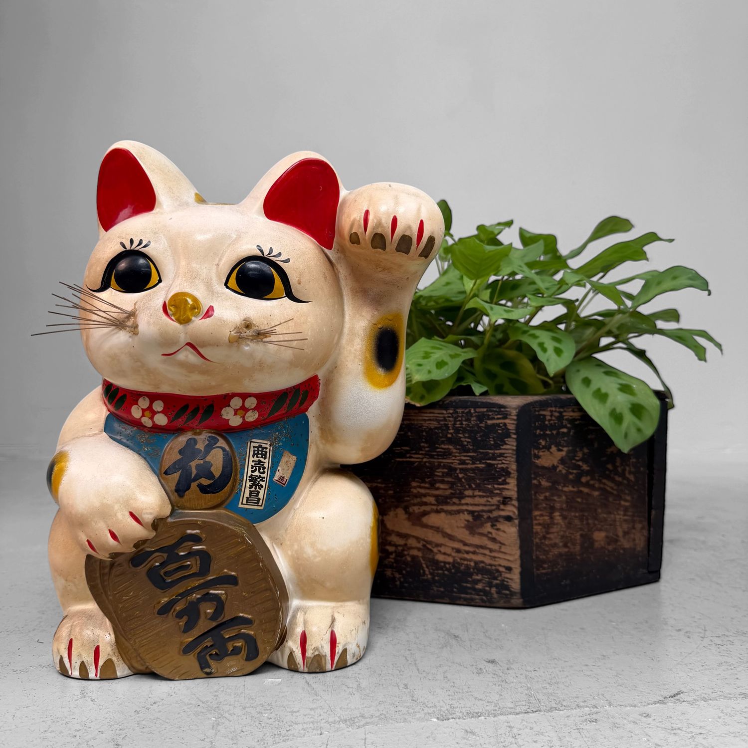 Japanese Maneki-neko / Lucky Cat with Koban, 1950s